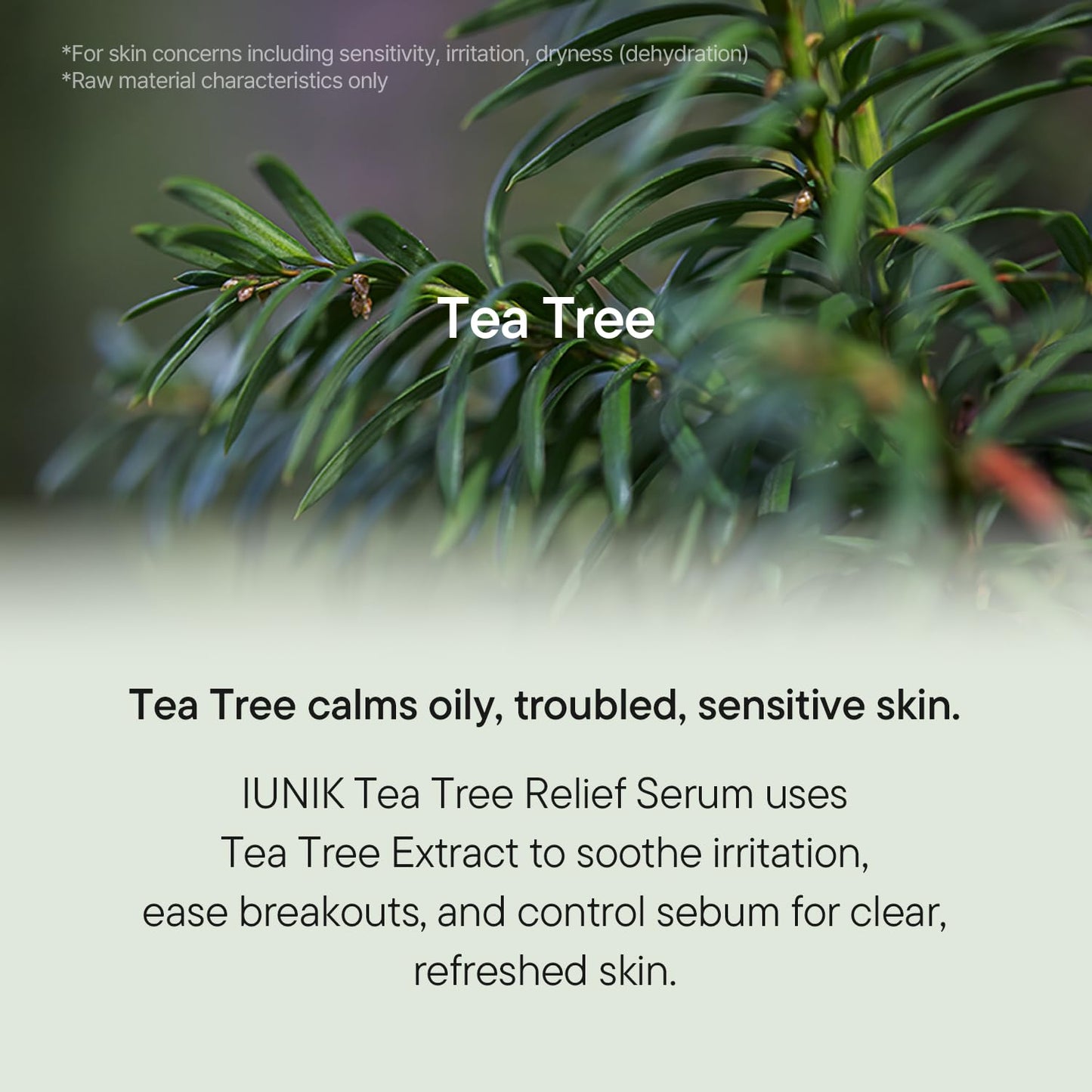 IUNIK Tea Tree & Centella Calming Care Set – Daily Relief Serum + Soothing Gel Cream For Oily, Acne-Prone & Sensitive Skin | Vegan Korean Skincare