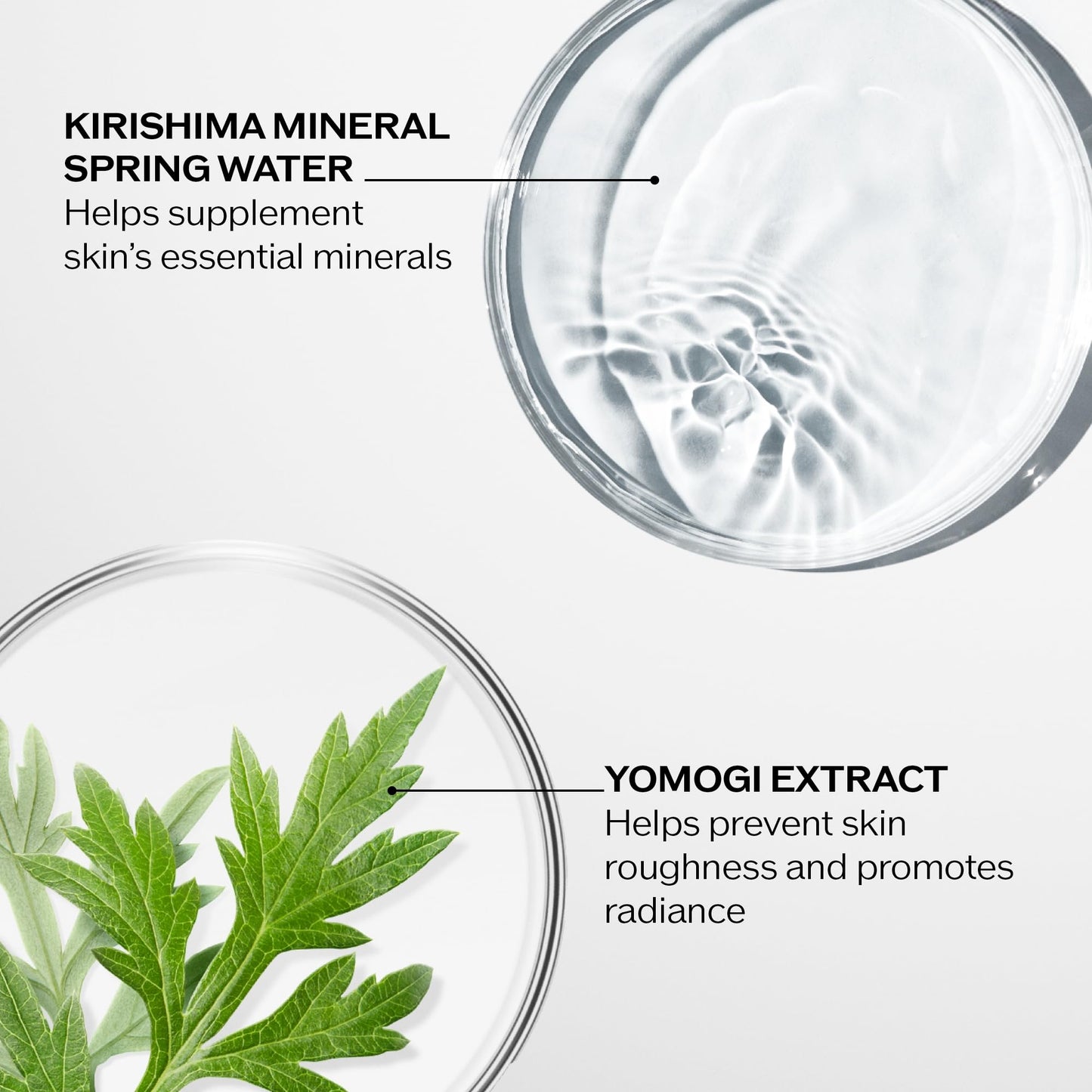 Shiseido Treatment Softener - 150 mL - Balances & Hydrates for Smooth, Refined Skin - For Normal & Combination to Oily Skin