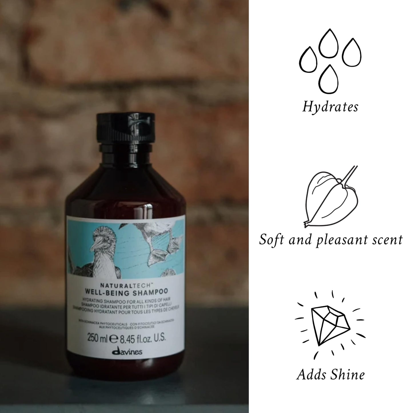 Davines Naturaltech Wellbeing Shampoo, Gentle Cleansing & Hydrating for All Hair Types - With Echinacea Phytoceuticals - Daily Cleanser for Scalp Health, 8.45 Fl Oz