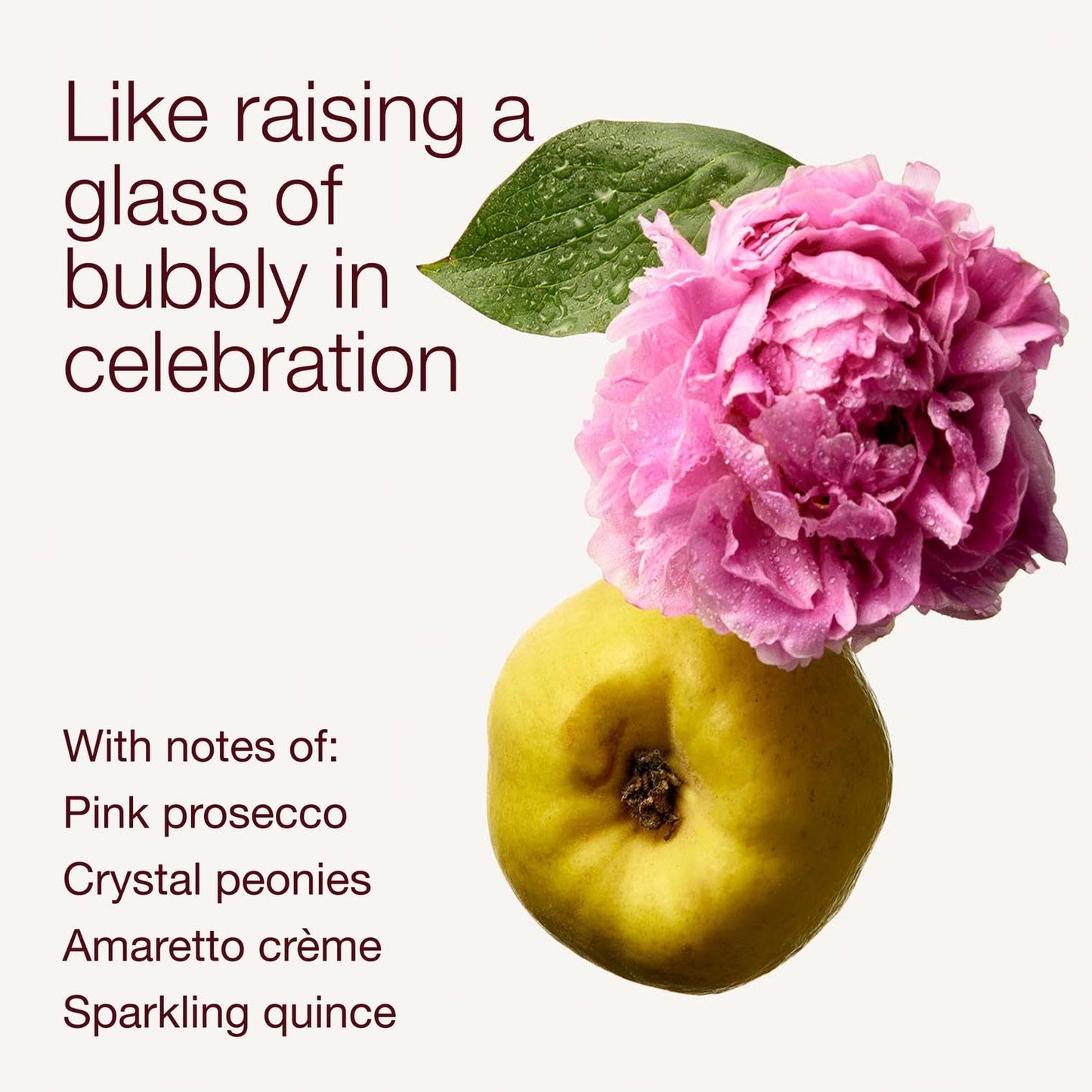 Bath & Body Works A Thousand Wishes Fine Fragrance Mist, Body Spray & Perfume for Women, Long-Lasting Personal Fragrance, Sparkling Prosecco & Peony Scent, 8 fl oz - 2 Pack