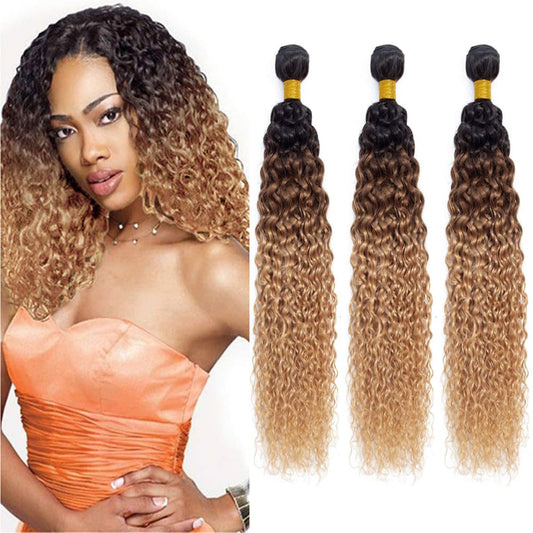 GzorOuzr 1B/4/27 Curly Wave Hair 3 Bundles Hair Weaves Three Tone Ombre Hair Extensions For Women Real Unprocessed Virgin Hair 14 14 14 Inch