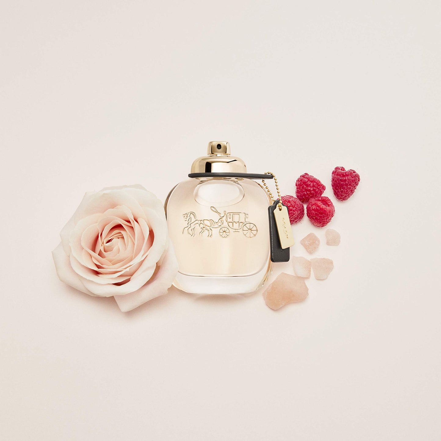COACH Eau de Parfum Spray 3.0 fl oz