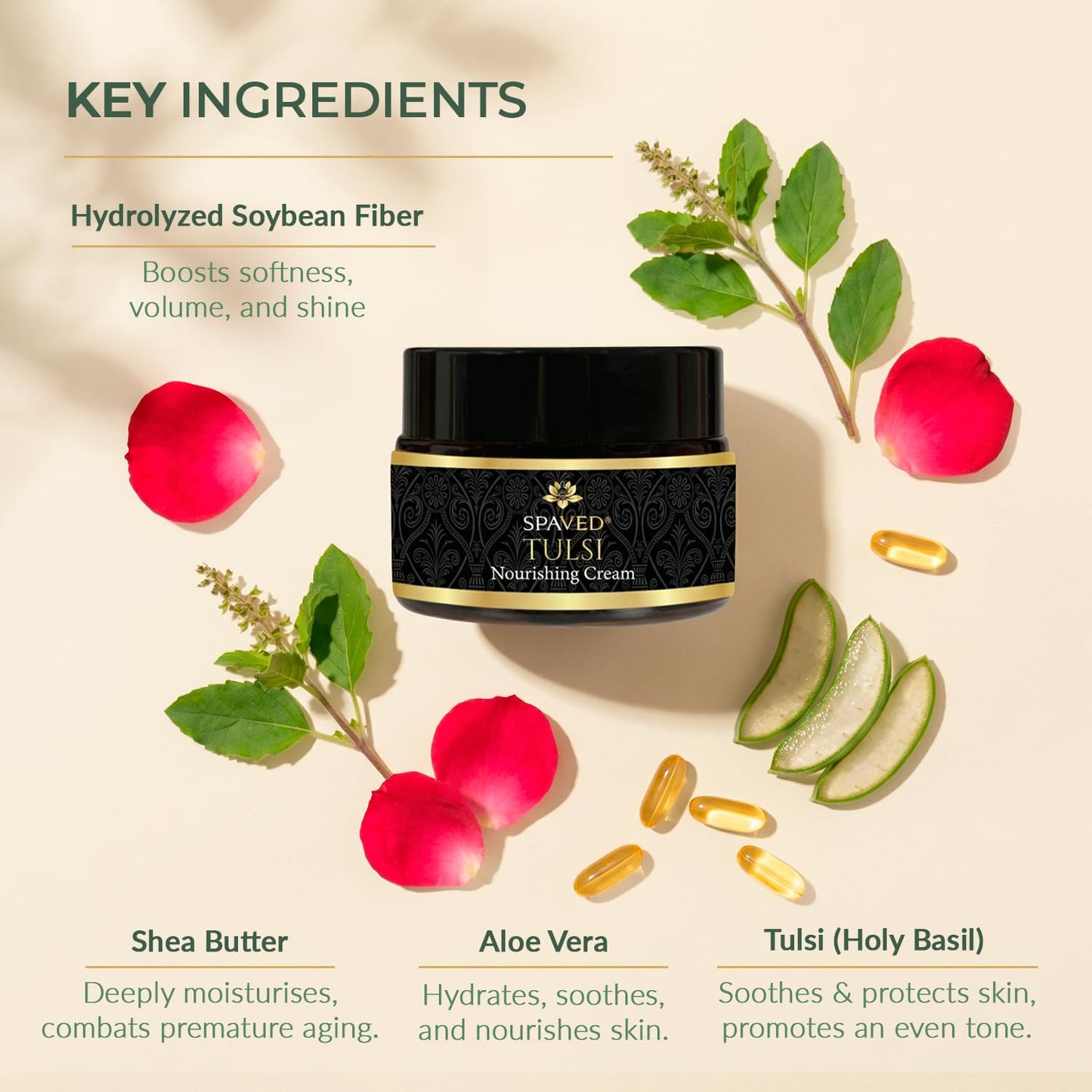 SPAVED Tulsi Face Cream 1.7 oz – Anti-Aging, Barrier Support & Hydrating Moisturizer with Shea Butter, Aloe Vera & Vitamin E – Supports Soft, Radiant Skin – Vegan, Fragrance-Free