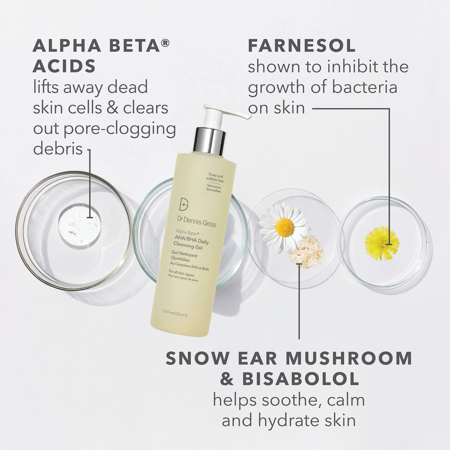 Dr Dennis Gross Alpha Beta® AHA/BHA Daily Cleansing Gel, for Skin That is Dull, Congested and Uneven Tone & Texture (7.5 Fl Oz)