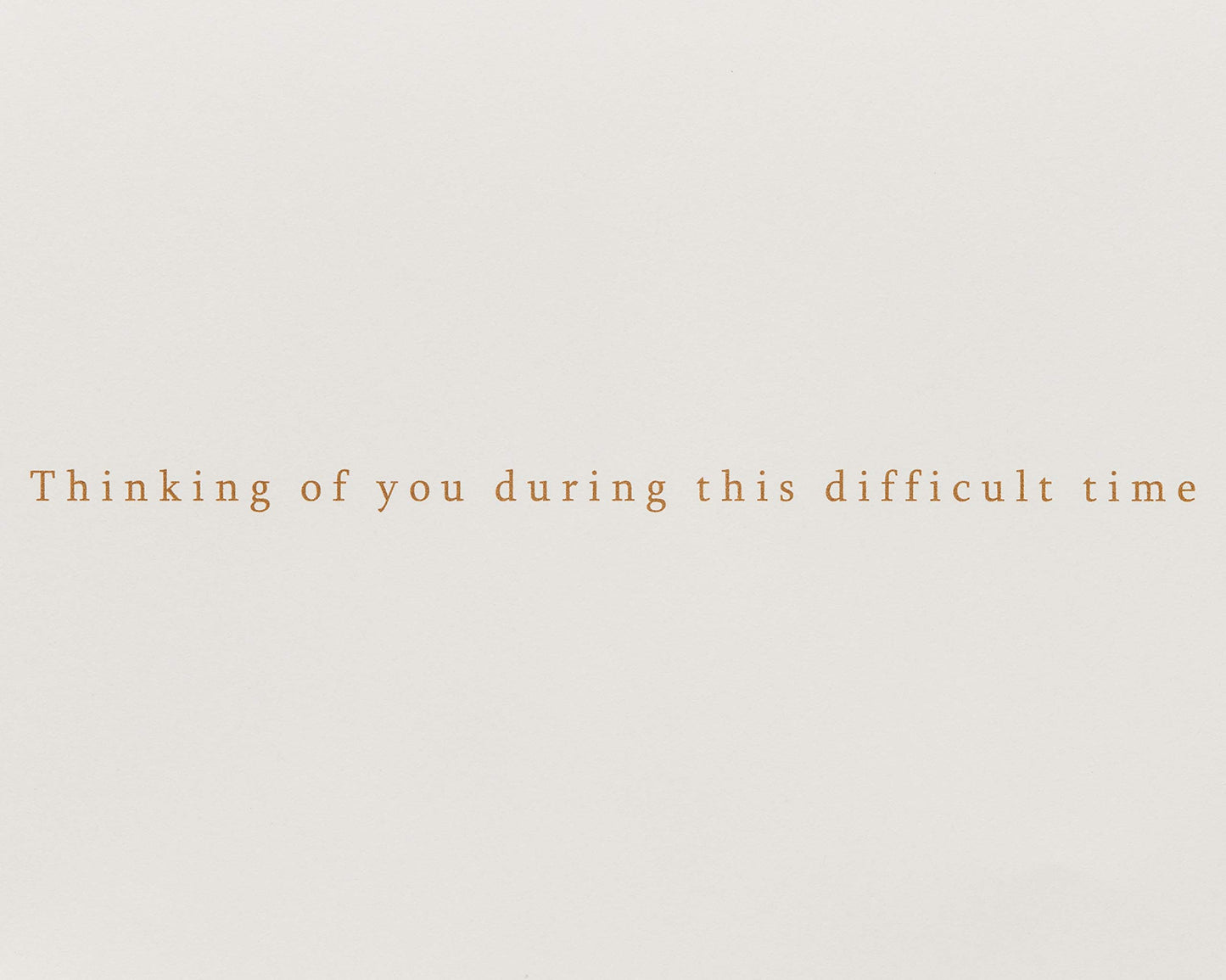 Papyrus Sympathy Card (Thinking Of You)