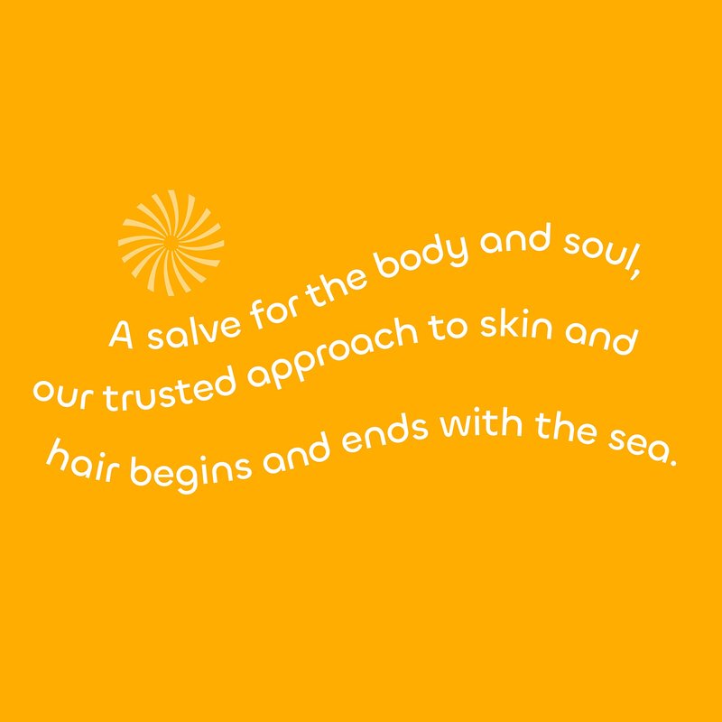 Seaweed Bath Co. Smooth Shampoo and Conditioner Set - Citrus Vanilla - Hydrate With Aloe, Borage Oil, and Broccoli Seed Oil for Sleek, Shiny Hair - 12 oz (Pack of 2)
