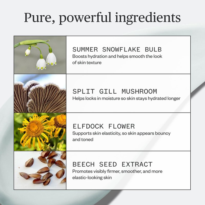 Ursa Major Vital Spring Hydration Mask | Deeply Hydrating Natural Mask| Plumps Skin’s Appearance, Boosts Firmness & Smooths Appearance of Fine Lines | Vegan, Cruelty-Free, Non-Toxic | 1.69 ounce