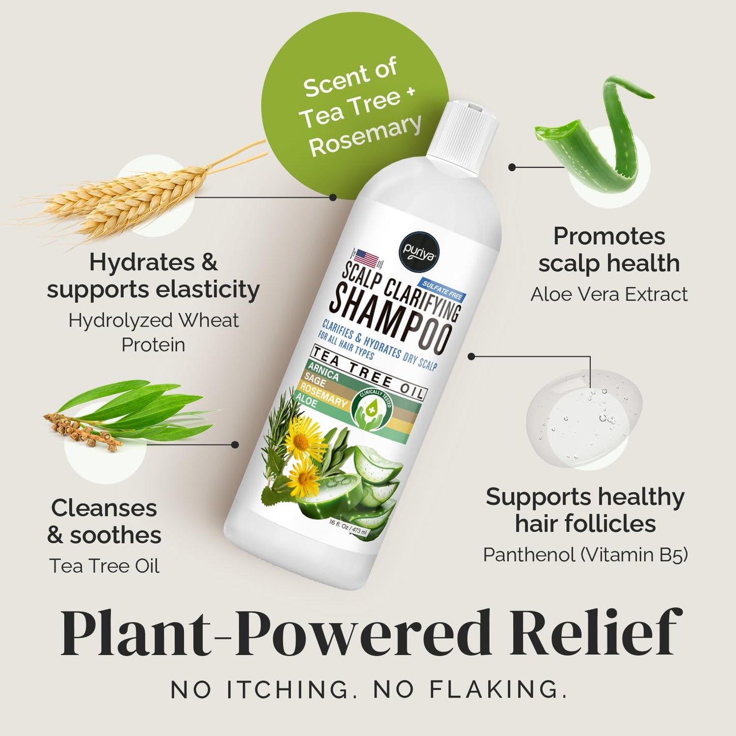 Puriya Tea Tree Clarifying Shampoo. Plant Rich Dry Itchy Scalp Relief, for Kids, Adults, Sulfate Free, No Harsh Chemicals Seen in Dandruff Treatment, Seborrheic Dermatitis, Psoriasis Shampoo, 16 oz