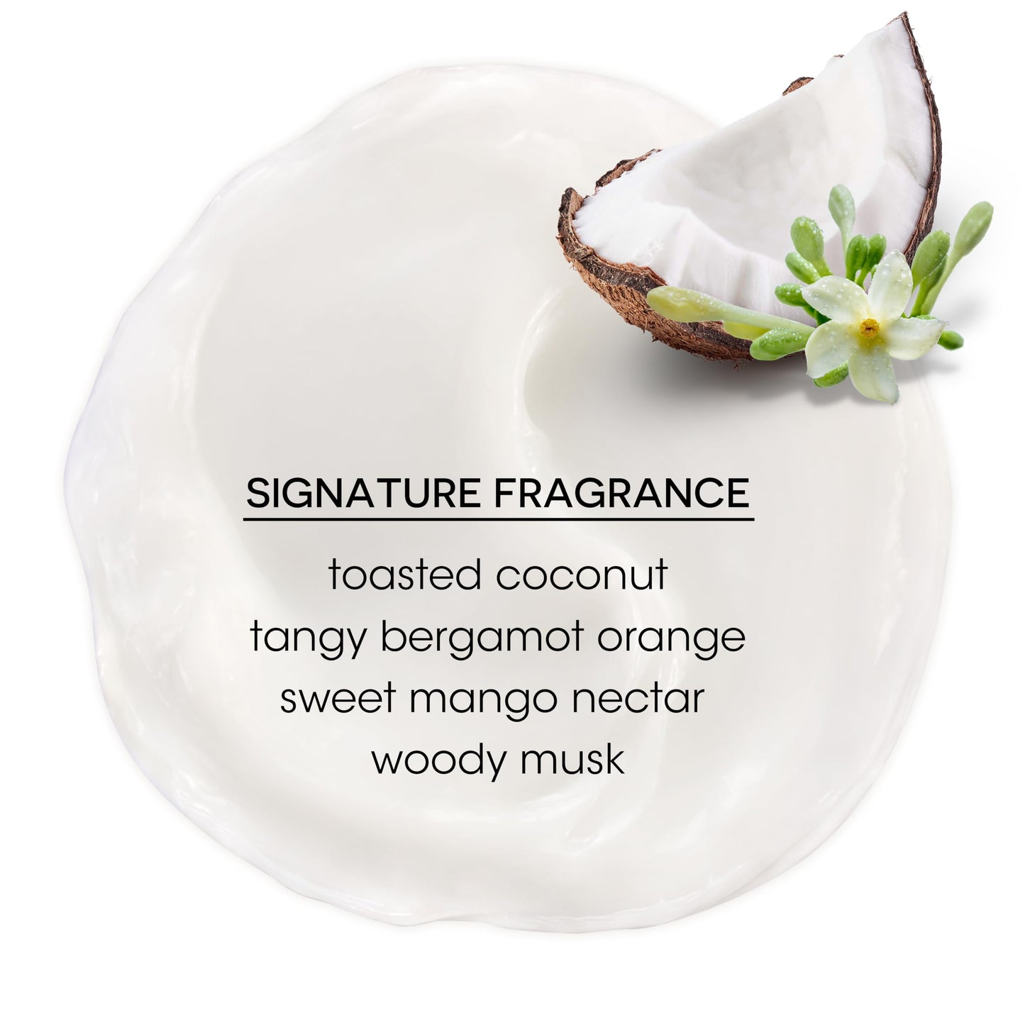 Bain de Terre Coconut Papaya Ultra Hydrating Conditioner, Moisture Quench for Dry, Damaged Hair, with Argan & Monoi Oils, Paraben-Free, Color-Safe, Vegan, 13.5 Fl Oz