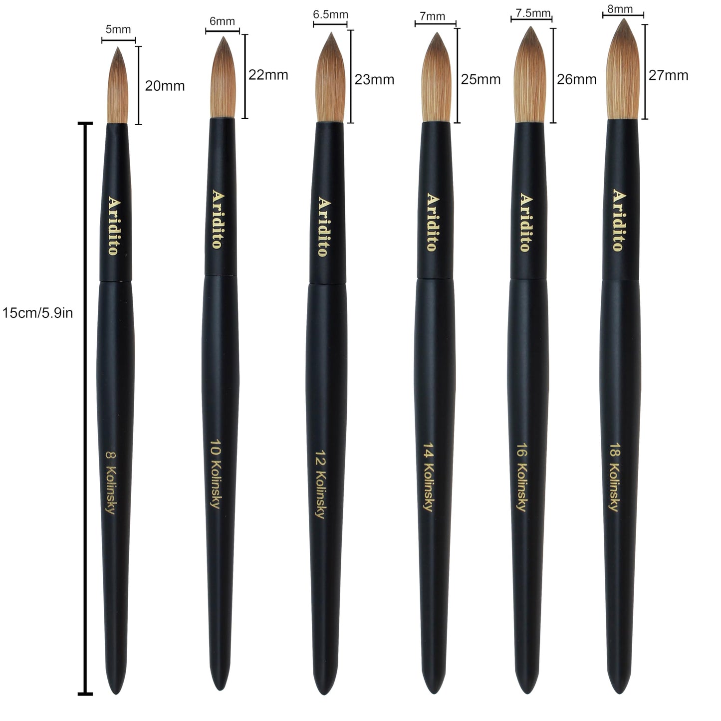 Aridito Kolinsky Round Head Acrylic Nail Art Brush Set, Black Wooden Handle Size 8 10 12 14 16 18, for Professional Manicure DIY Home Salon (16# Kolinsky)