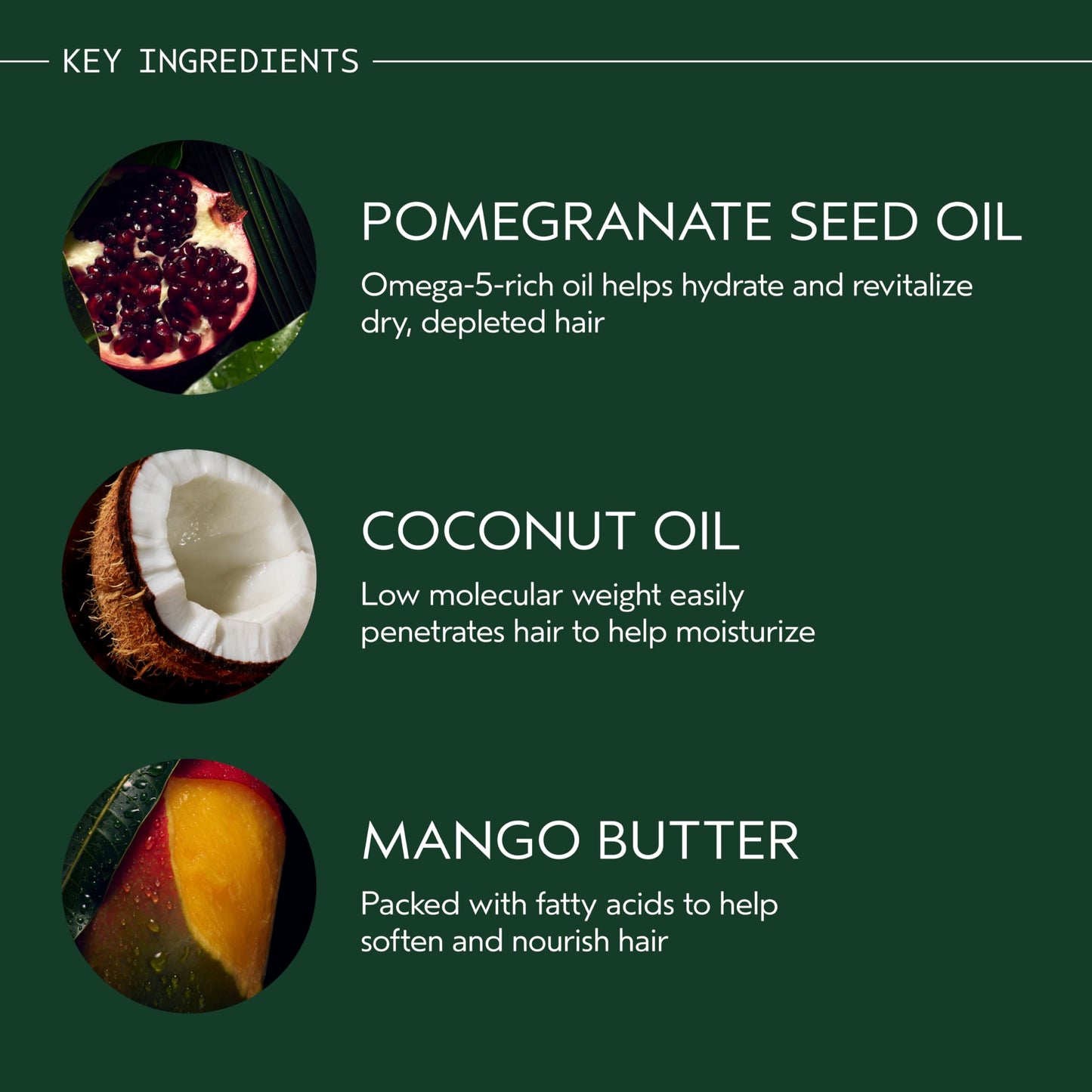 Aveda Nutriplenish Shampoo Light Moisture | Hydrating Shampoo for Fine to Medium Dry Hair | Organic Pomegranate Oil, Coconut Oil, Mango Butter | 93% Naturally Derived*, 8.5 Fl Oz