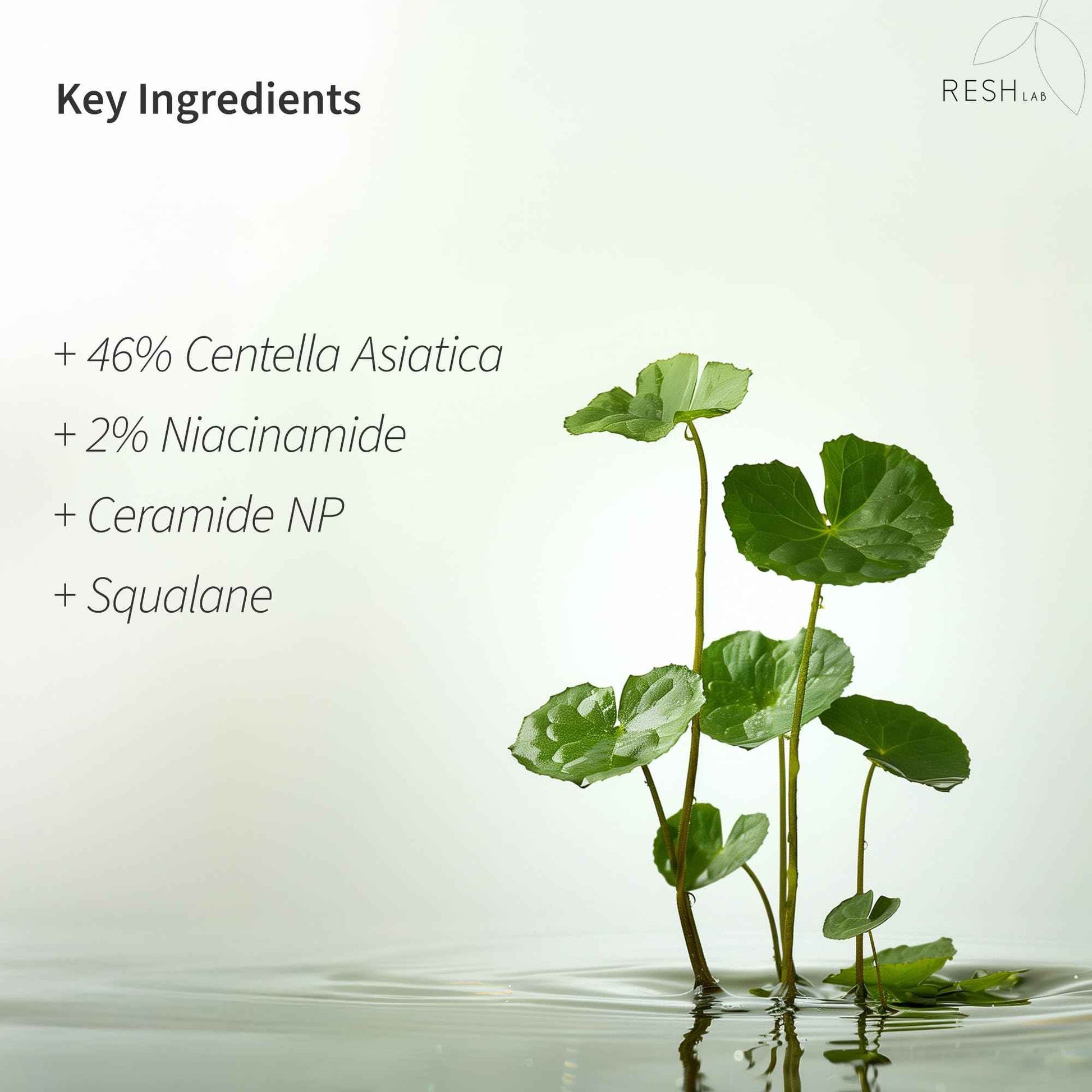 Korean Cica Repair Cream – Hydrating & Redness Relief Face Moisturizer | Soothing Daily Barrier Cream with Ceramide & Panthenol for Sensitive, Acne-Prone & Dry Skin – Fragrance-Free (50 ml)