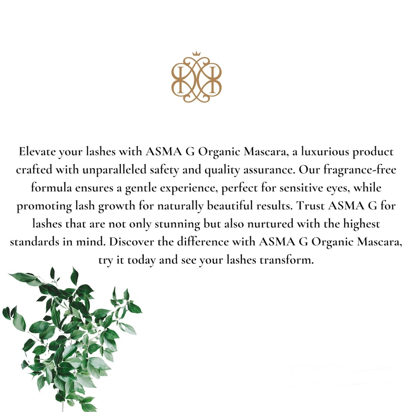 ASMA G Organic Mascara - Volume, Length, and Lash Growth Formula