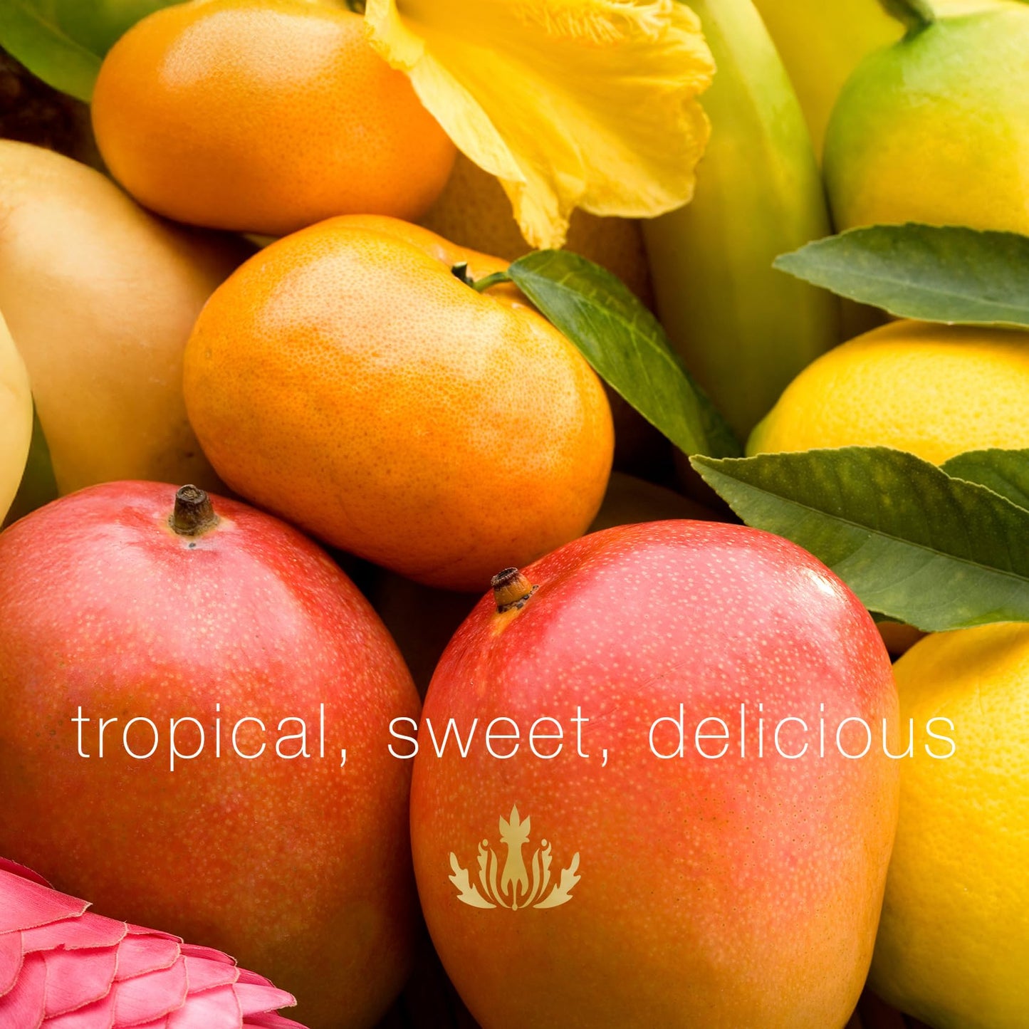Mālie Organics Shampoo, Mango Nectar Scent, Daily Cleanse for All Hair Types, Kukui Nut Oil + Macadamia Nut Oil + Quinoa Protein, Vegan