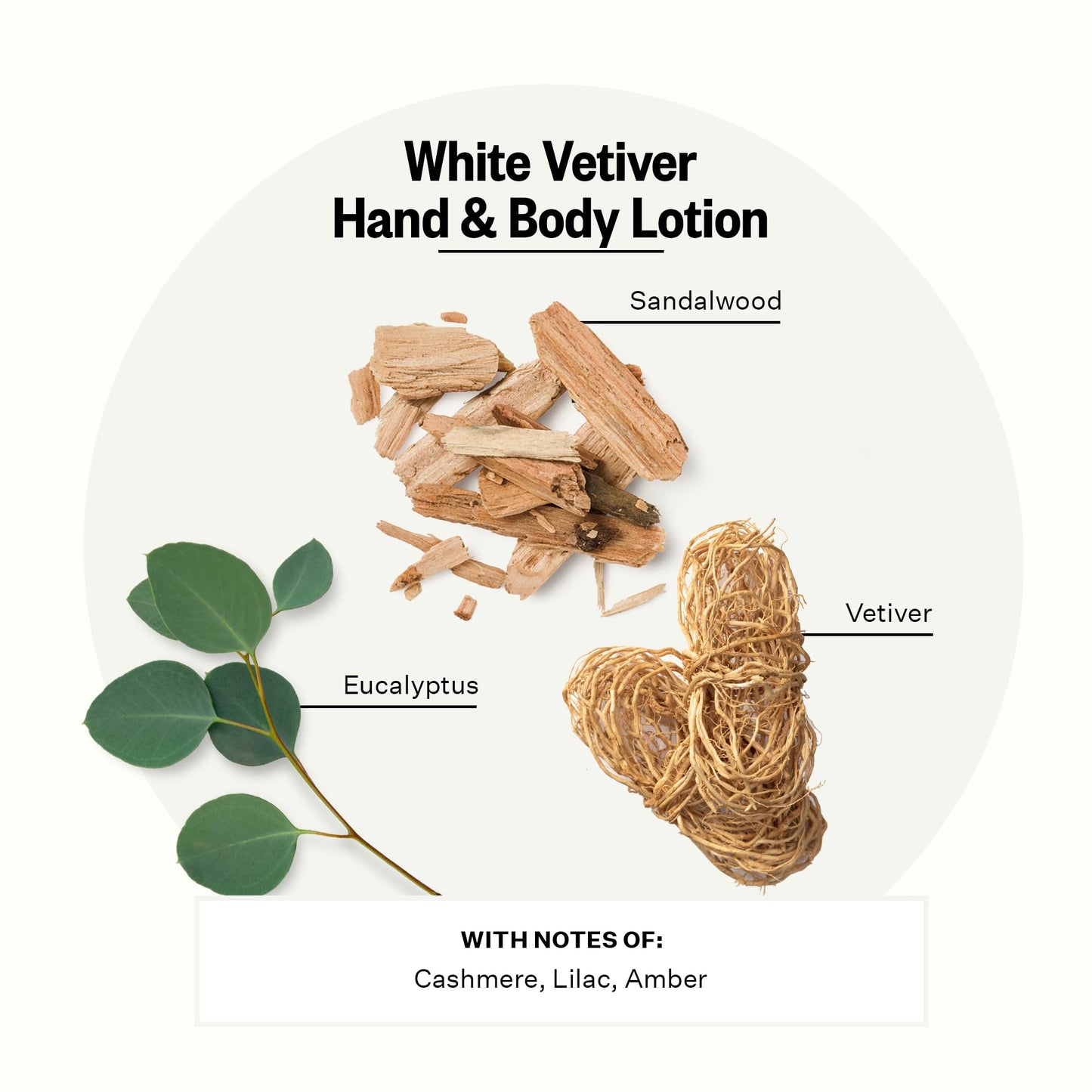APOTHEKE Hand & Body Lotion & Moisturizer - White Vetiver, 10 Fl Oz
