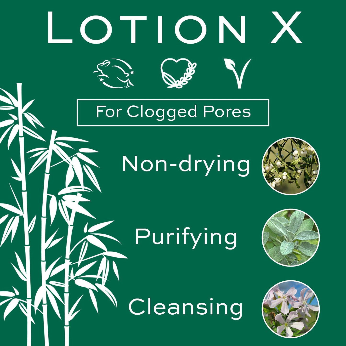 Christine Valmy Lotion X Blackhead Melting Solution for Nose and T-Zone, Nose Blackhead Remover, 4.73 Fl Ounce