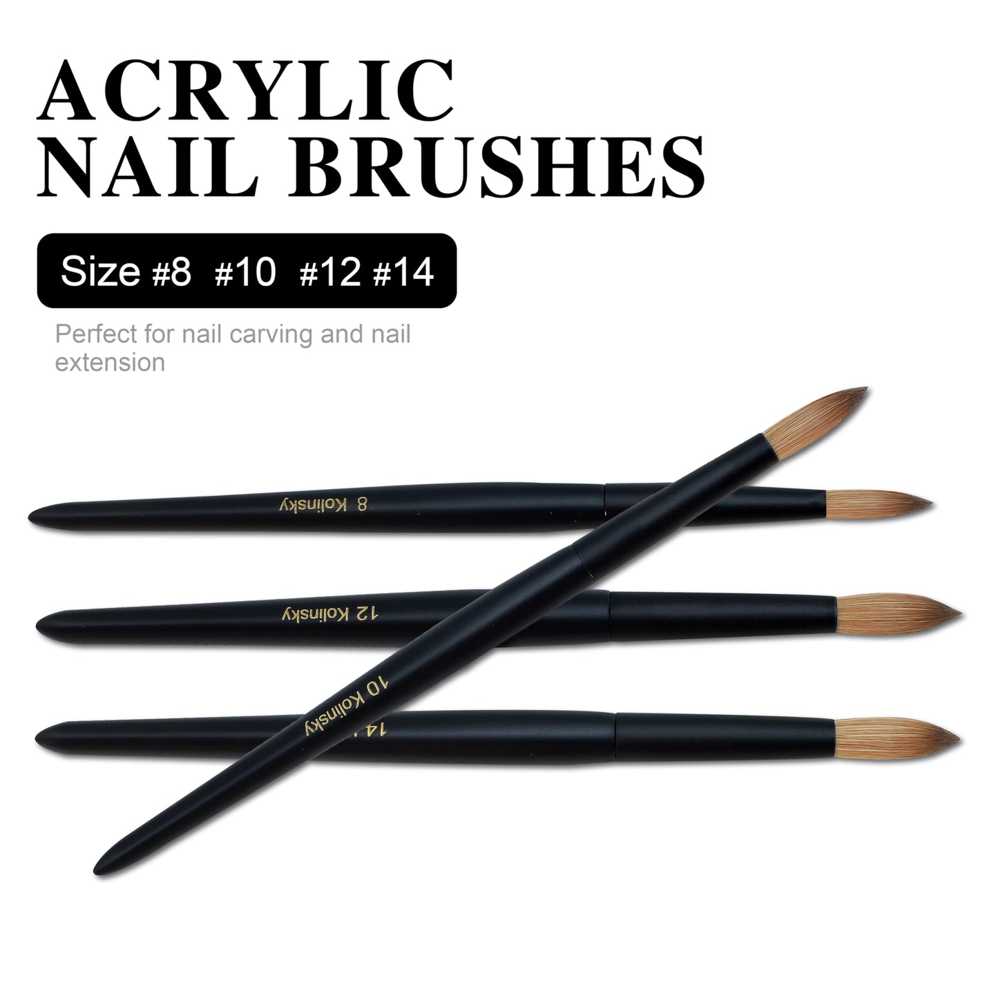 Aridito Kolinsky Round Head Acrylic Nail Art Brush Set, Black Wooden Handle Size 8 10 12 14 16 18, for Professional Manicure DIY Home Salon (16# Kolinsky)