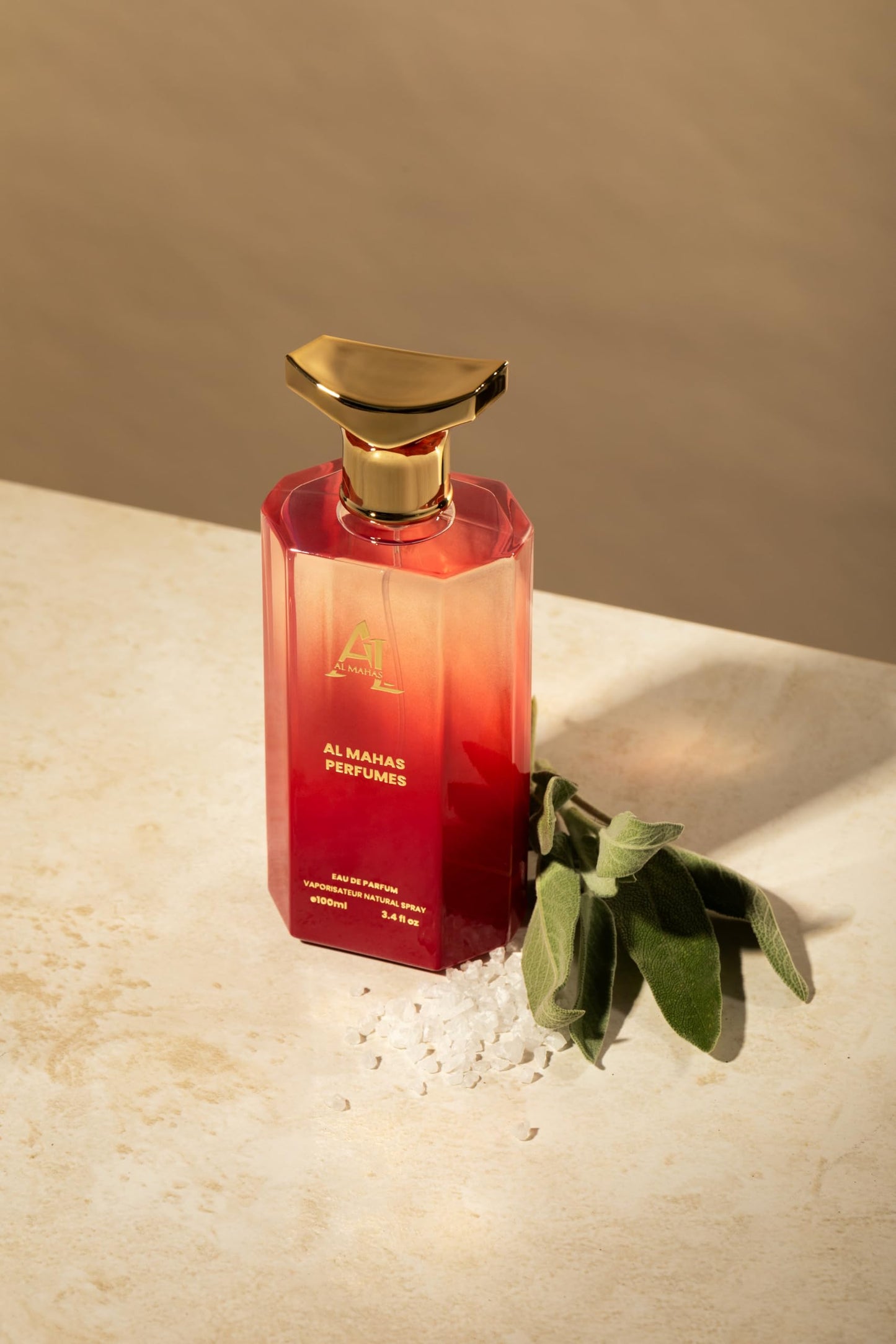 AL MAHAS Wood Sage and SeaSalt Perfume - Eau de Parfum 100 ml (3.4 Oz) Long Lasting Bold Unisex Perfume, irresistible scent of Wood Sage and Sea Salt and Ambrette Seeds by ALMAHAS