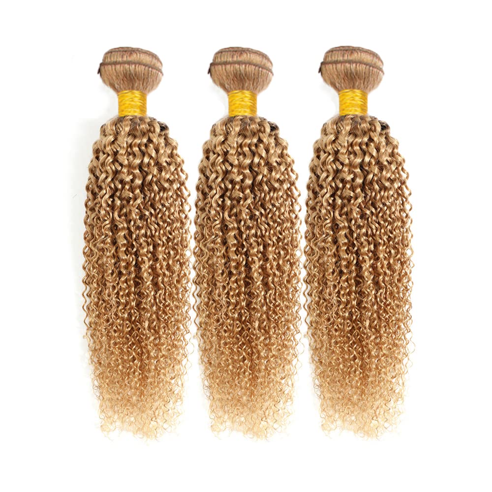 Color 27 Curly Wave Bundle Honey Blonde Human Hair 3 Bundles Kinky Curly Brazilian 100% Unprocessed Virgin Extensions Double Weft Bundle 8 10 12 Inch