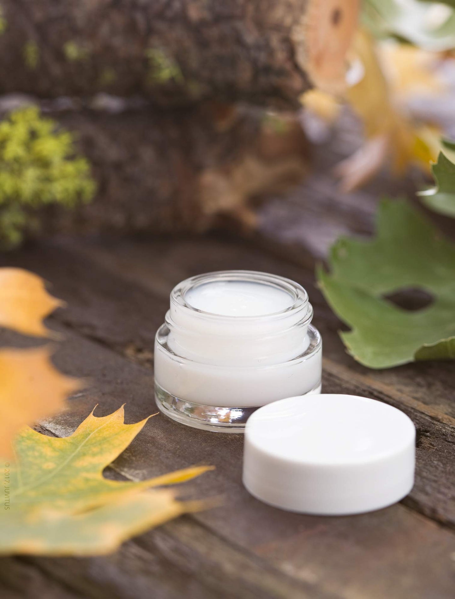 Clear Glass 0.25 oz Thick Wall Balm Jars with White Foam Lined Smooth Lids (24 pack)