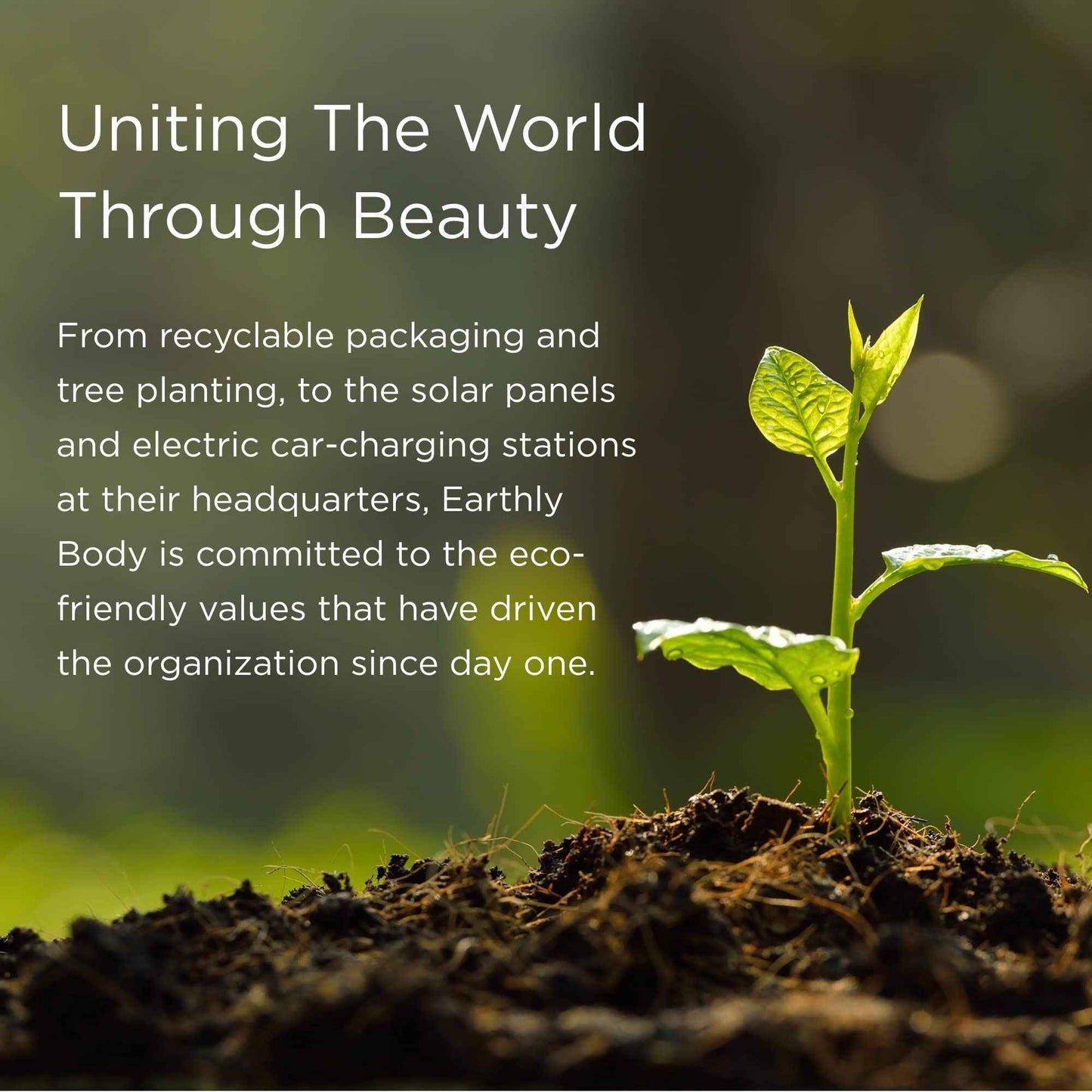 MKS eco WOW Fortify Design Cream, Halcyon Scent - 4 oz - Free From Silicones, Sulfate Cleansers, Parabens, Gluten, Mineral Oil & Petrolatum - Vegan, Cruelty Free