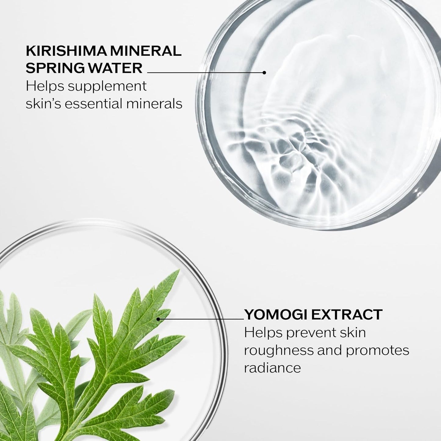 Shiseido Treatment Softener - Hydrating Facial Toner for Smooth Skin | 150 mL + 165 Cotton Pads