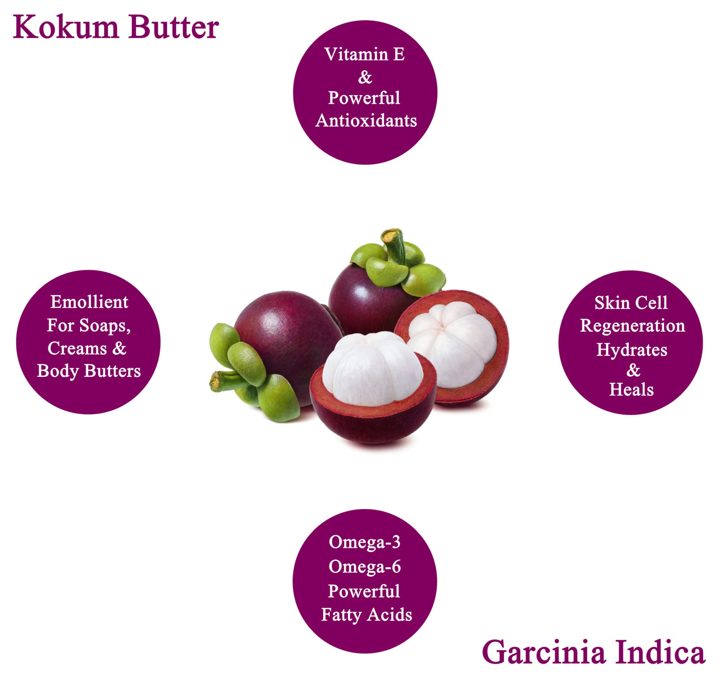 Plant Guru Raw Kokum Butter 16 oz. / 1 lb. 100% Pure Natural - Great for Skin, Body and Hair Moisturizer, DIY Creams, Balms, Lotions and Soap Making. (HDPE Food Grade Jar)