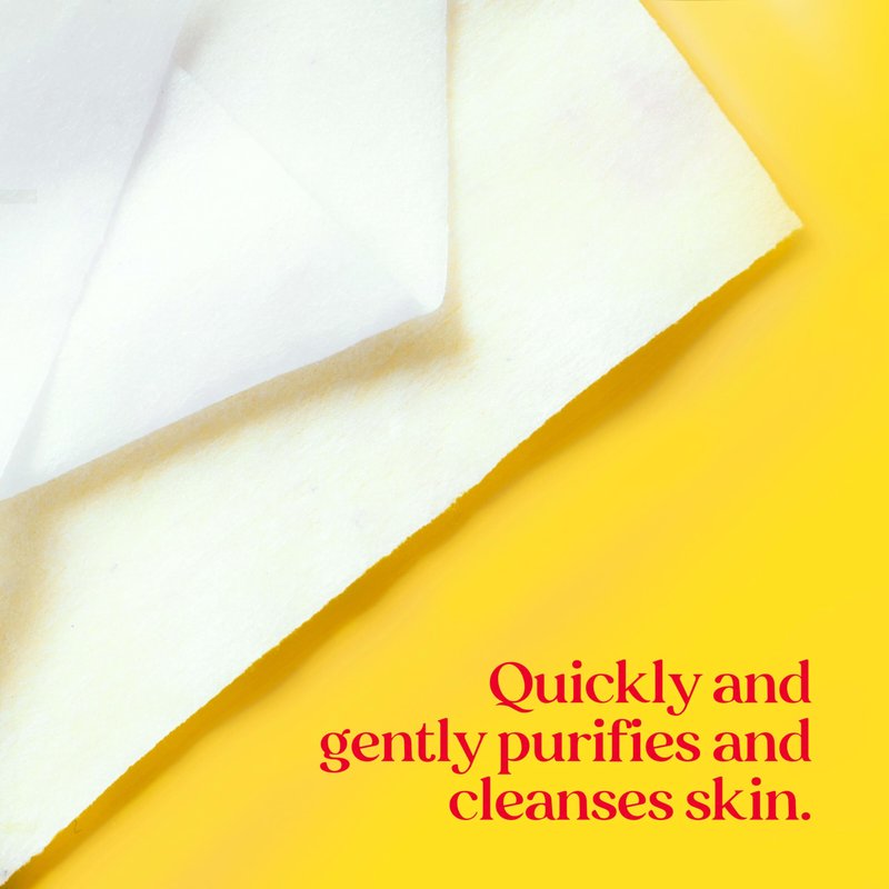 Burt's Bees Purifying Facial Towelettes With White Tea, Pre-Moistened Towelettes for All Skin Types, 99.1 Percent Natural Origin Skin Care, 10 ct. Package
