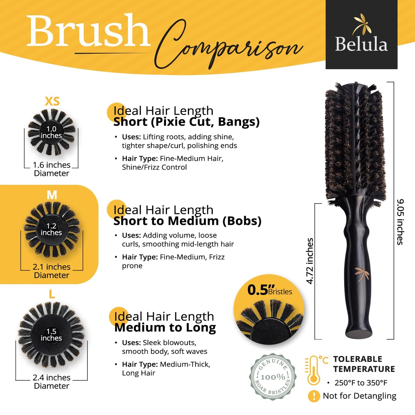 Belula 100% Boar Bristle Round Brush for Blow Drying,Medium Barrel 1.2-Inch
