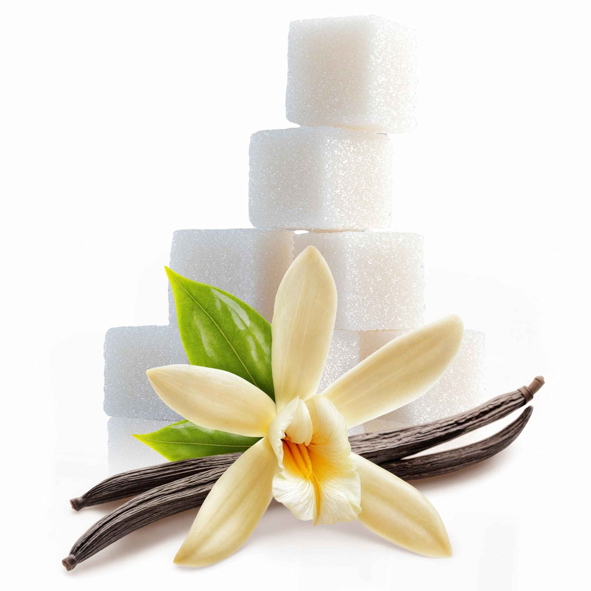 Vanilla Body Oil | Daily Skin Moisturizer with Apricot, Jojoba, Avocado & Vitamin E Oil | Hydrating & Nourishing | dry body oil for all Skin types | Anti-Aging | 6.76 oz