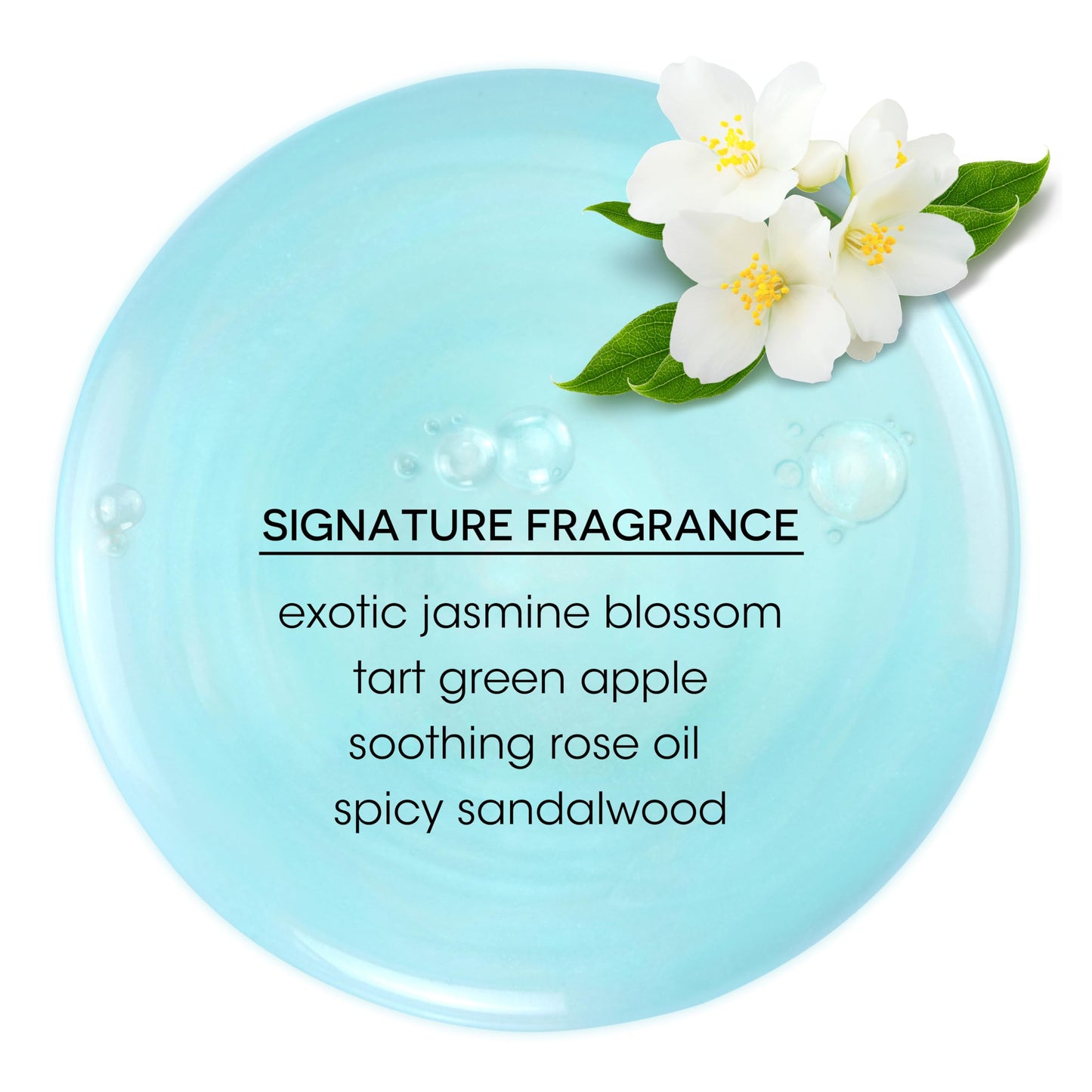 Bain de Terre Moisturizing Shampoo and Conditioner Set | Jasmine | Hydrates & Moisturizes Dry, Damaged Hair | Argan & Monoi Oils | Paraben Free | Color-Safe | 33.8 Fl Oz