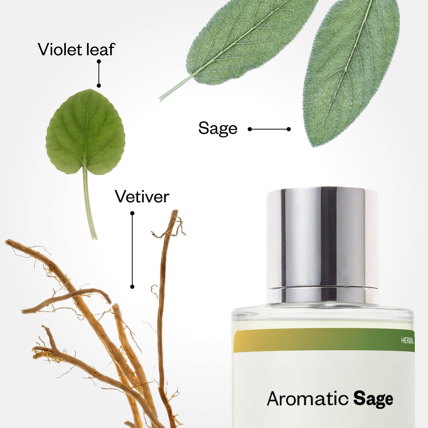 Dossier - Aromatic Sage - Eau de Parfum - Inspired by Born in Roma Uomo - Long-Lasting Fragrance - Masculine - 1.7 fl oz (50ml)