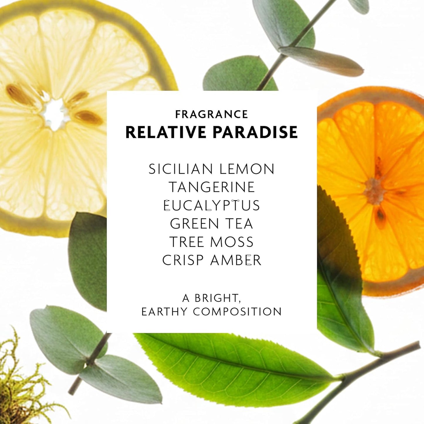 R+Co Badlands Dry Shampoo Paste - Texture & Oil Absorption | Matte Finish, 3.4 oz