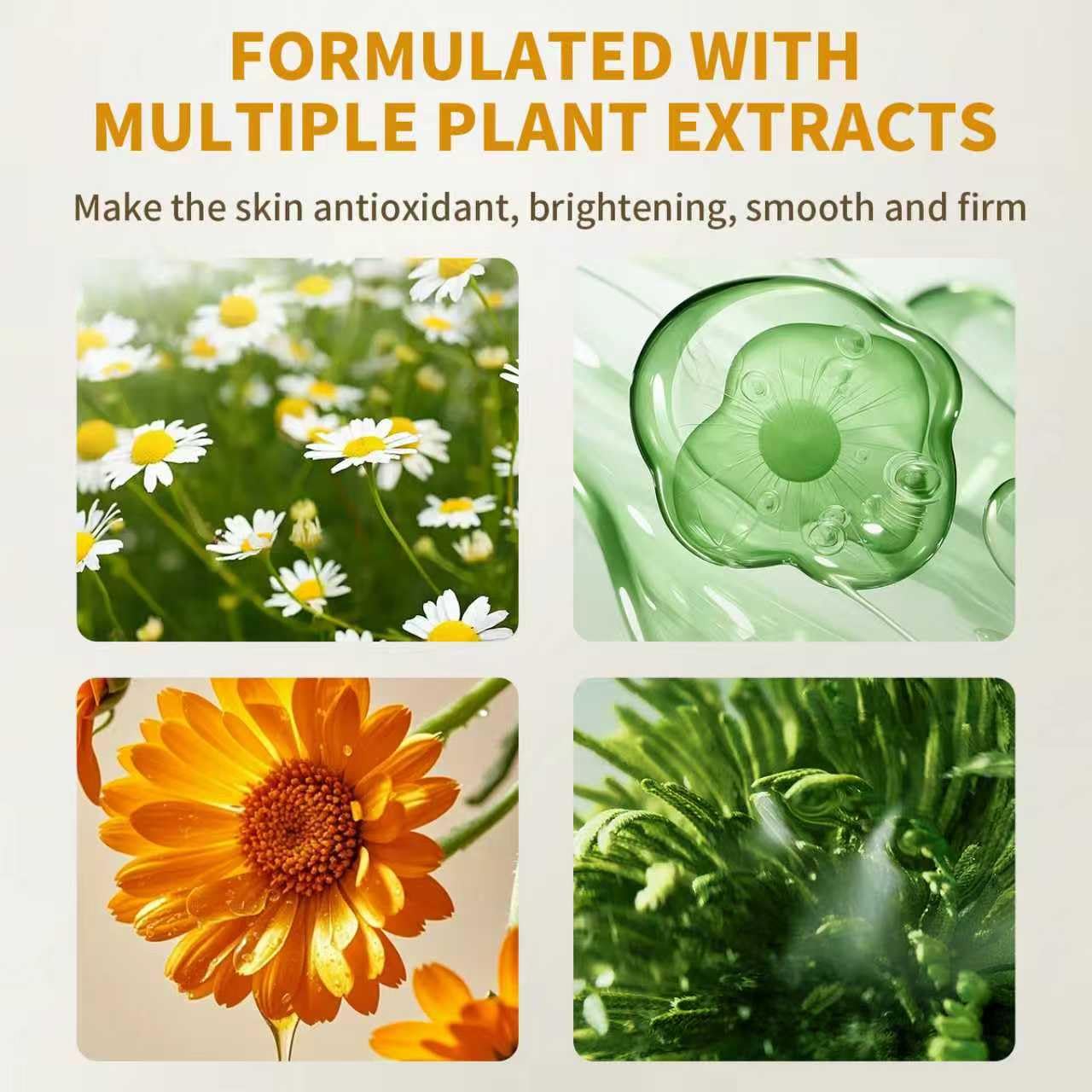 Organic Squalane Face Oil with Vitamin C - Non-Greasy, Plant-Based Formula for Dry, Sensitive Skin | 1 fl oz