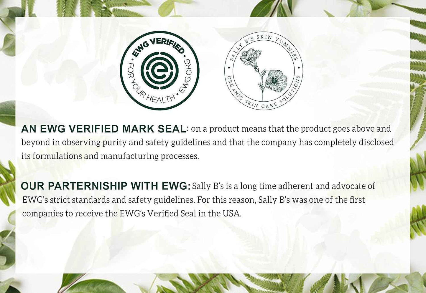 Sally B's Citrus Vanilla Foaming Hand Soap - Wash for Dry Skin and Redness Relief/EWG Verified/ 8.5 OZ(Citrus Vanilla)