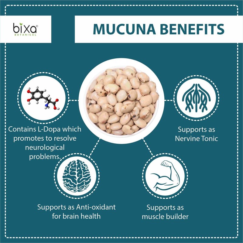 bixa BOTANICAL Mucuna Pruriens Powder | Velvet Bean Powder | Kapikacchu | Kaunch Beej | Ayurvedic Herbal Supplement ǀ Energy Booster | 1 Pound / 16 OZ | Gluten Free, Non-GMO, Steam Treated, Vegan,