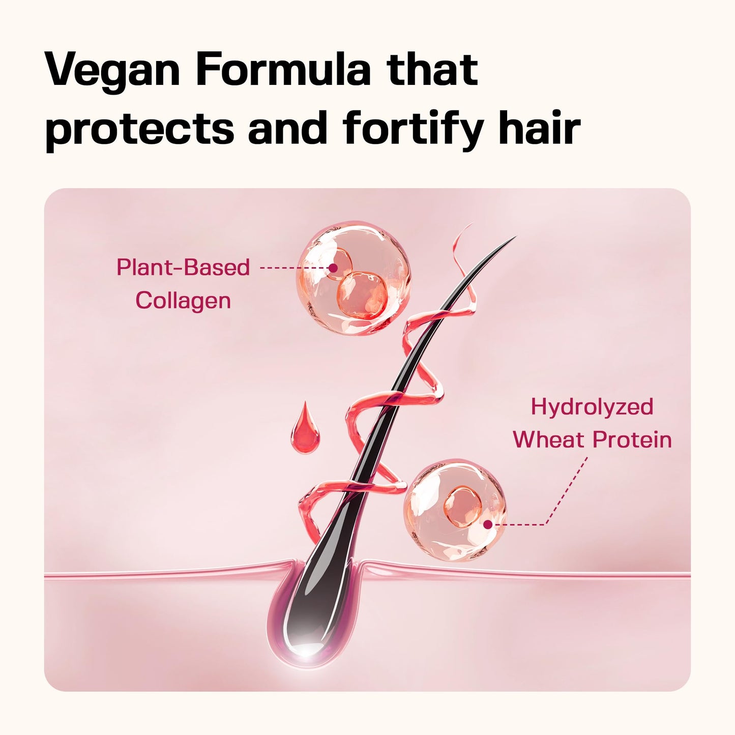 JULYME Perfume Shampoo for Damaged Hair-Sulfate Free, Collagen, Biotin, Volume Care, 500ml (Woody & Musk)