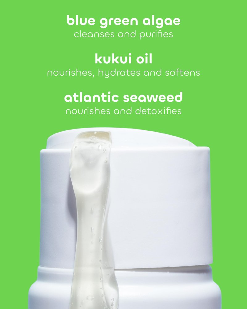 Seaweed Bath Co. Hydrate Body Wash - Eucalyptus Peppermint - Hydrating Lathering Cleanser with Nourishing Natural Ingredients - Vegan, Paraben and Sulfate Free Shower Gel - 12 oz (Pack of 2)