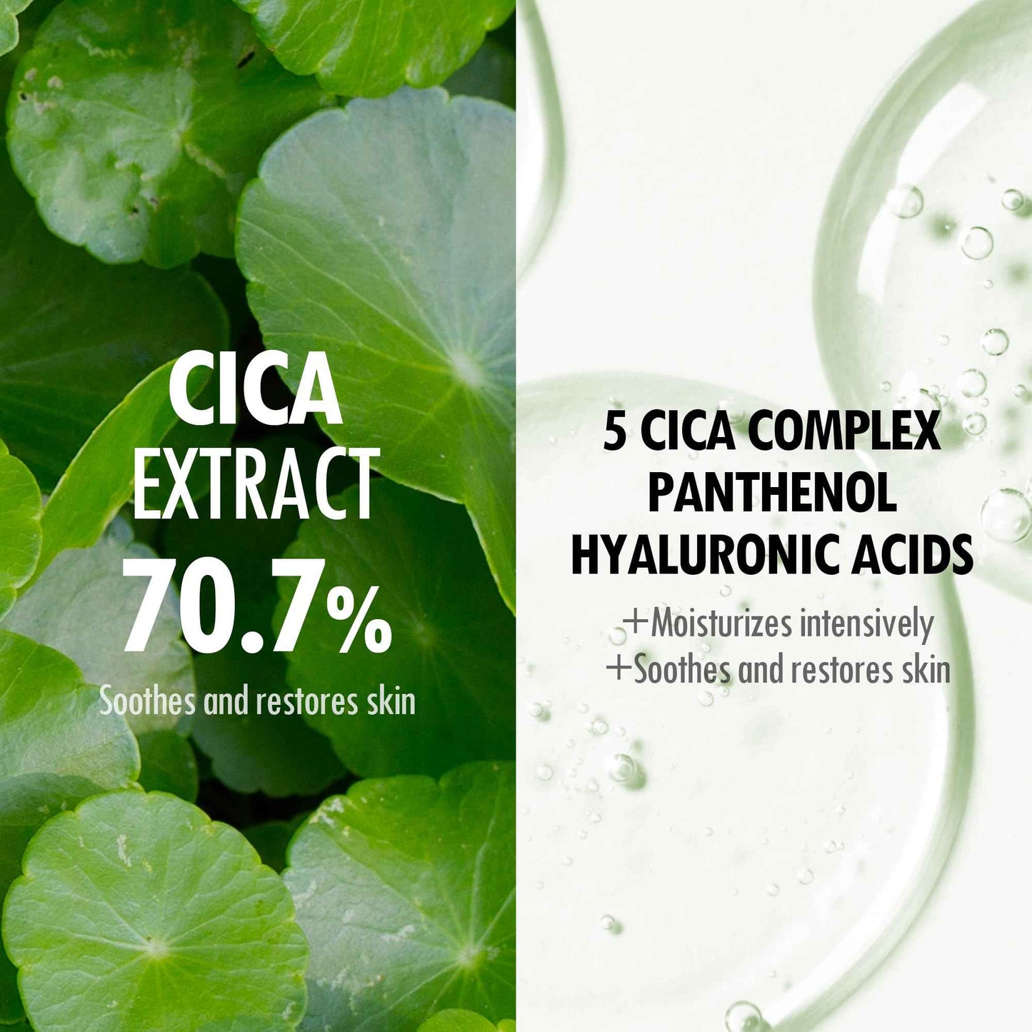 VEGREEN Fragrance-Free Cica Serum | Centella Asiatica Enriched Face Serum for Women & Men | Alcohol-Free Centella Unscented Serum Face Moisturizer | Hydrating Serum for All Skin Types 1.69 fl oz