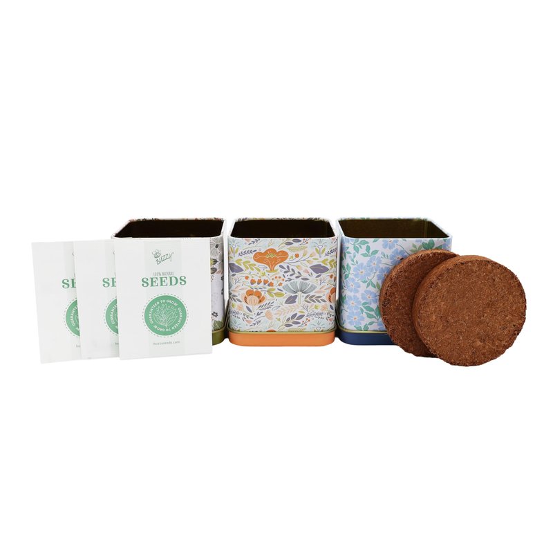 BUZZY Seeds Herbal Tea Garden Grow Kit – 3 Square Tin Planters with Lavender, Chamomile & Lemon Balm Seeds, Easy Indoor Herb Starter, Relaxing Gardening Gift Set