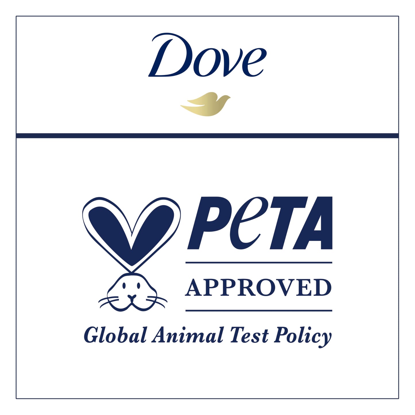Dove Advanced Care Antiperspirant Deodorant Spray for Women 3 Pack Dragon Fruit & Coconut Cream 72 hour sweat and odor protection 3.8oz