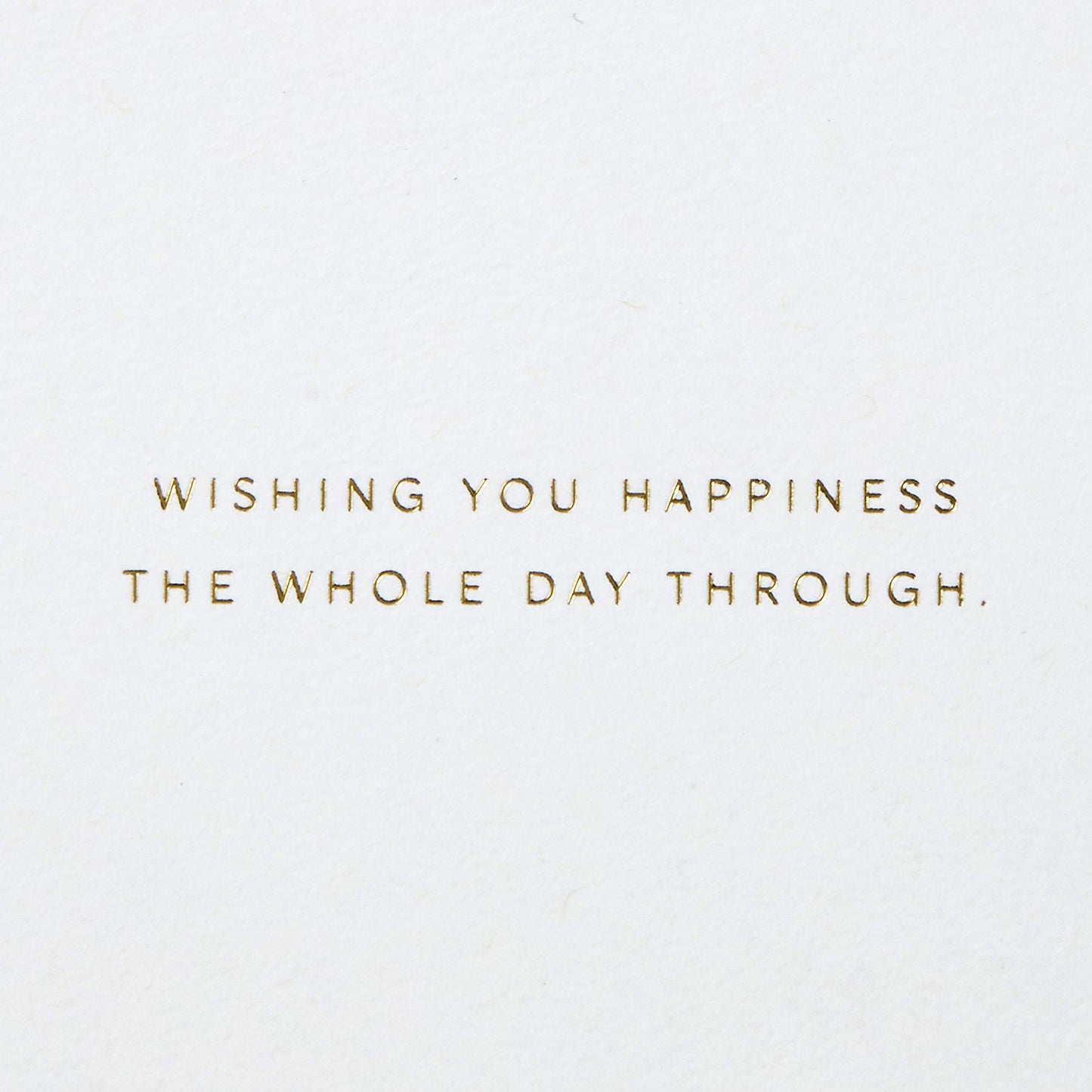 Hallmark Signature Peanuts Fathers Day Card (Snoopy and Woodstock Canoeing) (799FFW2007)