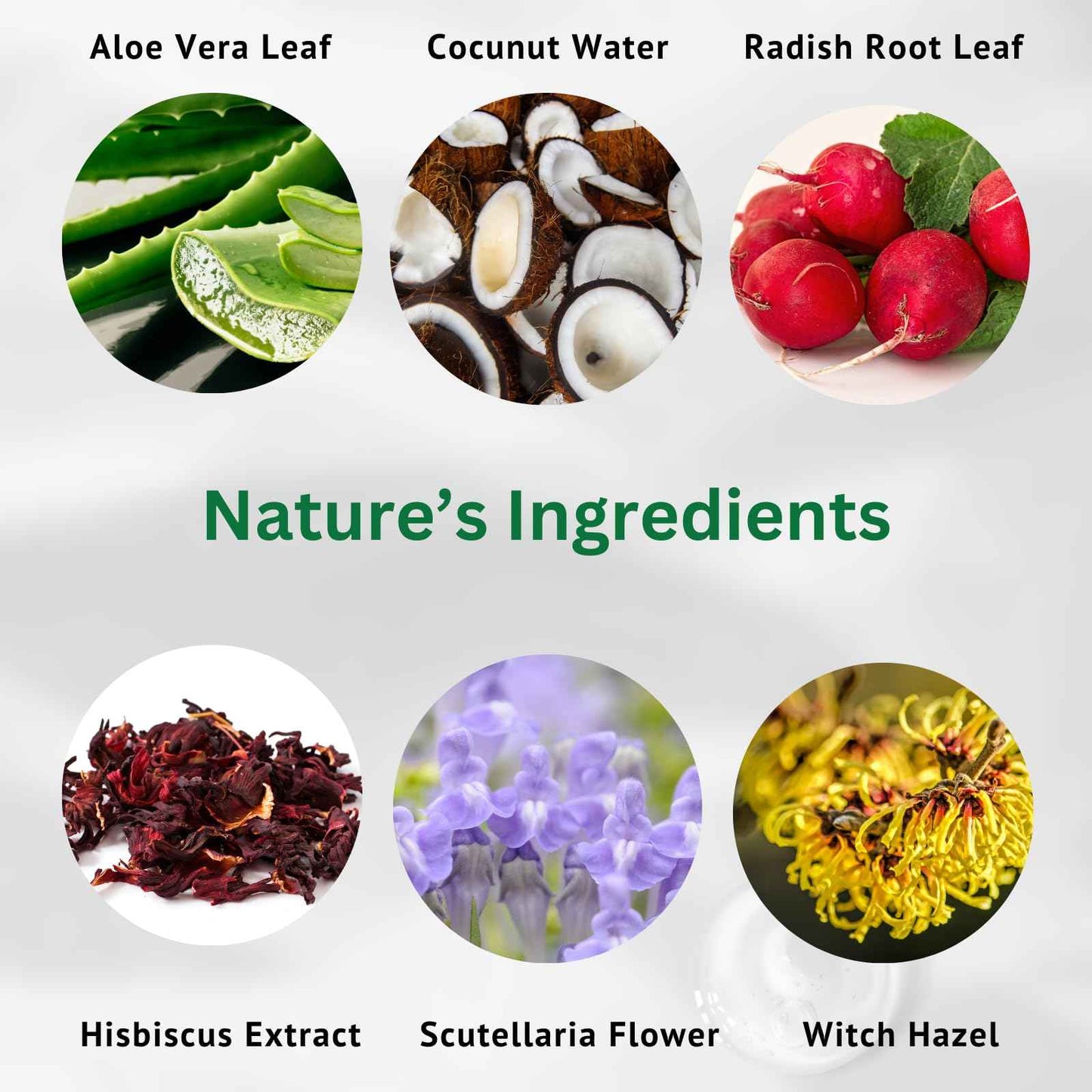 iMMense Naturals Aloe Vera Toner for Face. Skincare to Treat and Prevent Acne, Restore PH Balance & Excess Dirt. Facial Toner for Women and Men.