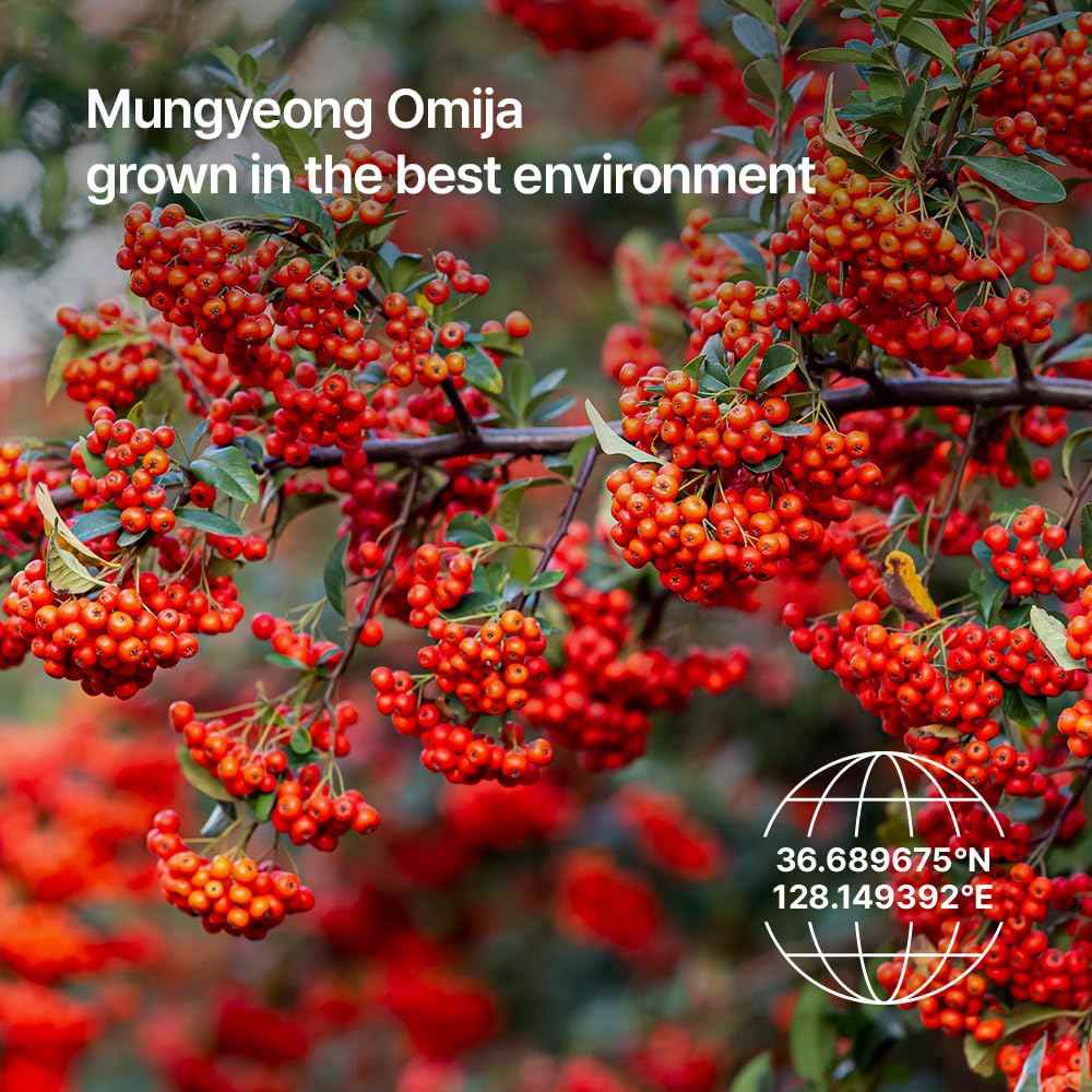 Parnell AHA Omija Ceramic Cream Clay Pack 3.38 fl oz | Pore Purifying Sebum Control Non-Drying Cooling Mask | Exfoliating for Smooth Skin K-Beauty