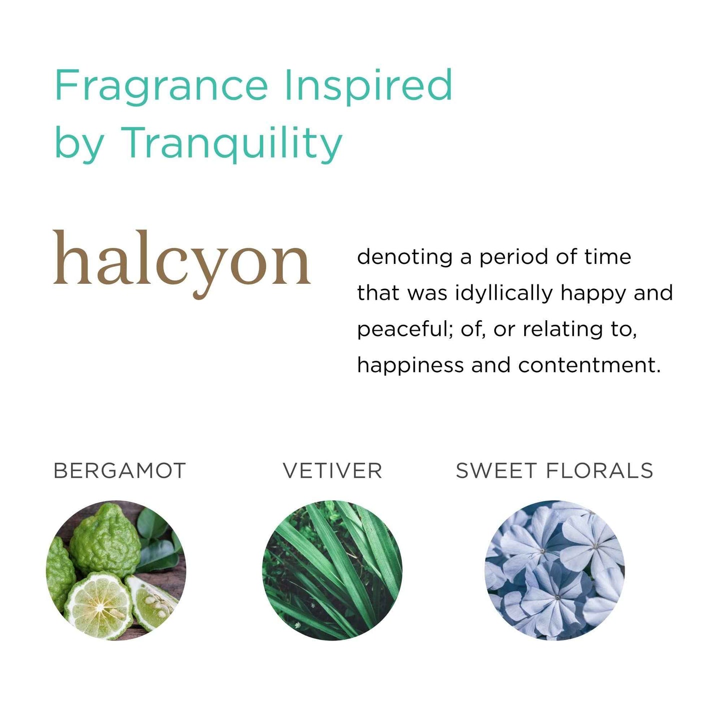 MKS eco WOW Fortify Design Cream, Halcyon Scent - 4 oz - Free From Silicones, Sulfate Cleansers, Parabens, Gluten, Mineral Oil & Petrolatum - Vegan, Cruelty Free