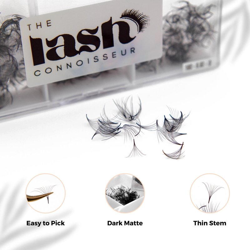 12D - D Curl 750 Fans Mixed Promade Fans Lash Extensions | TLC Lash Supplies 4D to 16D Premade Fans 7 mm to 16 mm Mixed Length Thin Base Premade Fans Eyelash Extensions (12D - D Curl, 9-10-11 mm)