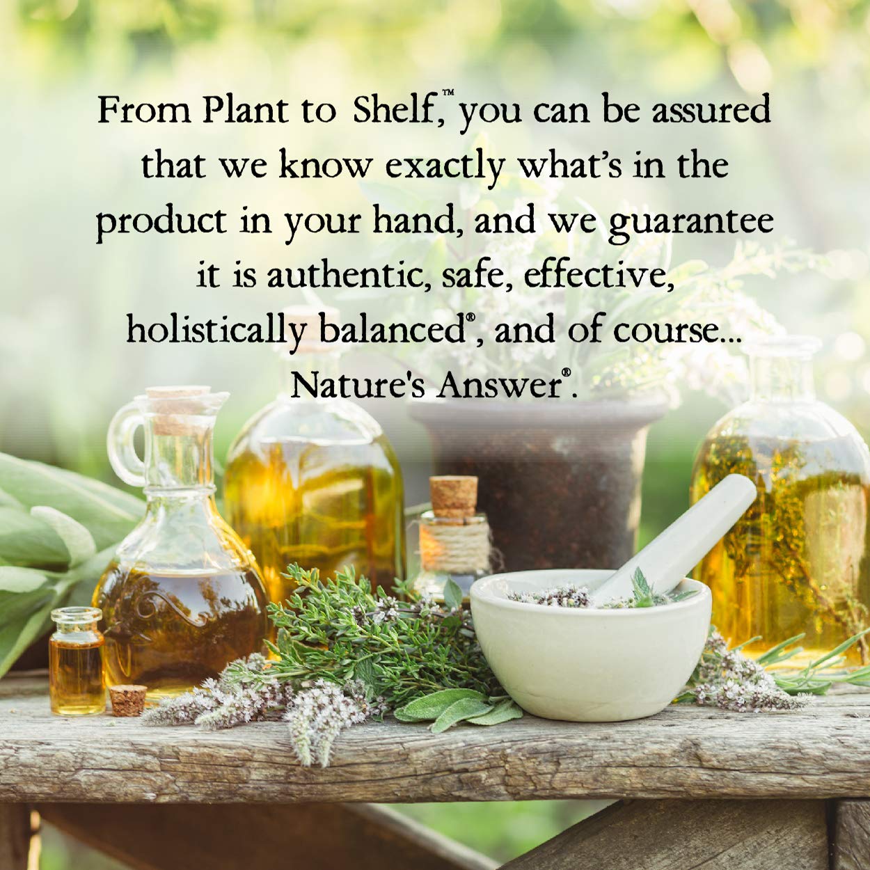 Nature's Answer Alcohol-Free Mullein Flower Ear Oil