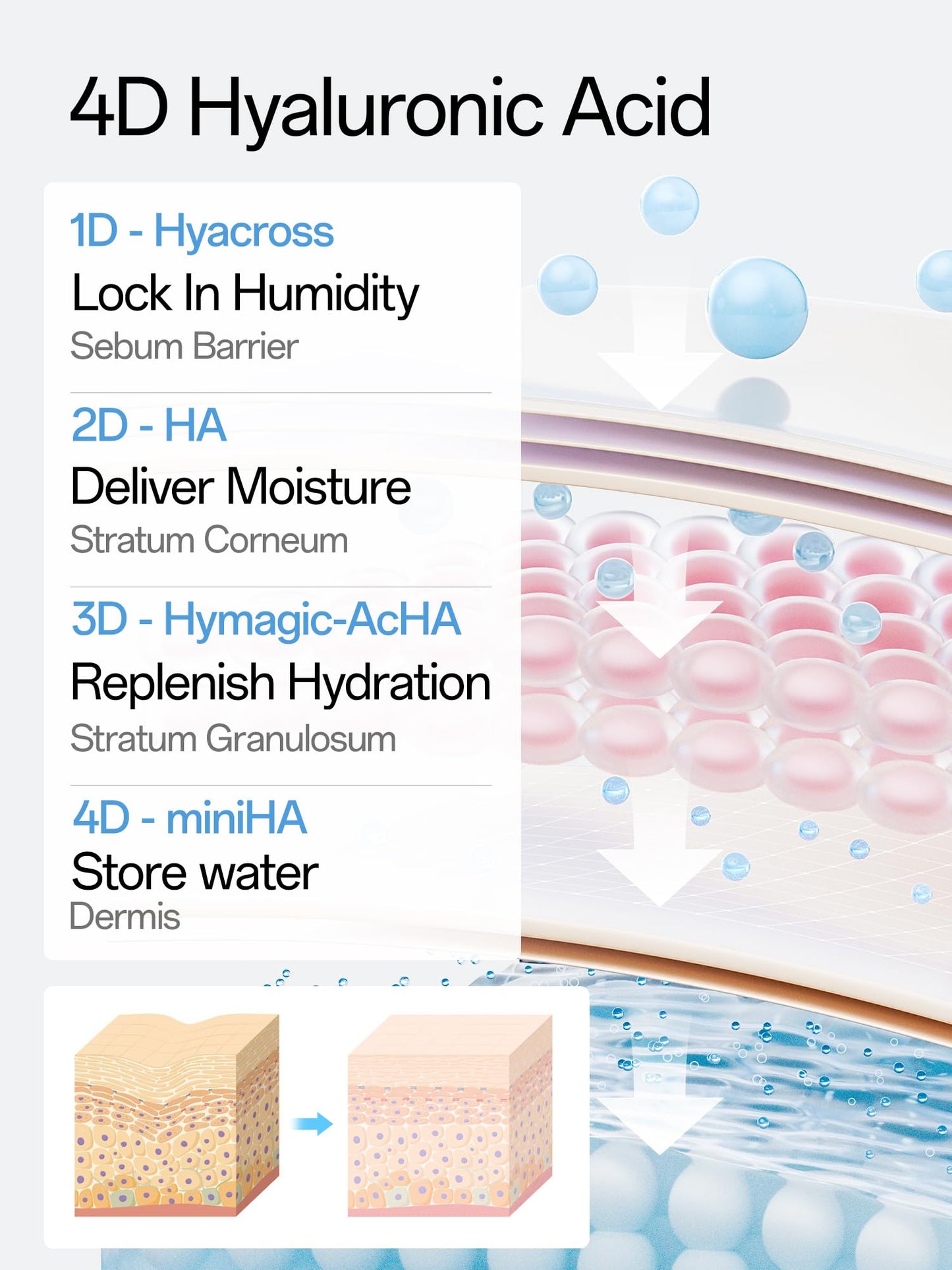 WNP Ultra Hydrating Serum 3% Hyaluronic Acid Smoother Skin|Pre-makeup SkinCare|Anti-Aging serum for face Single-Use Vials Skincare|for Sensitive skin|4D Hyaluronic Acid (60 vials)