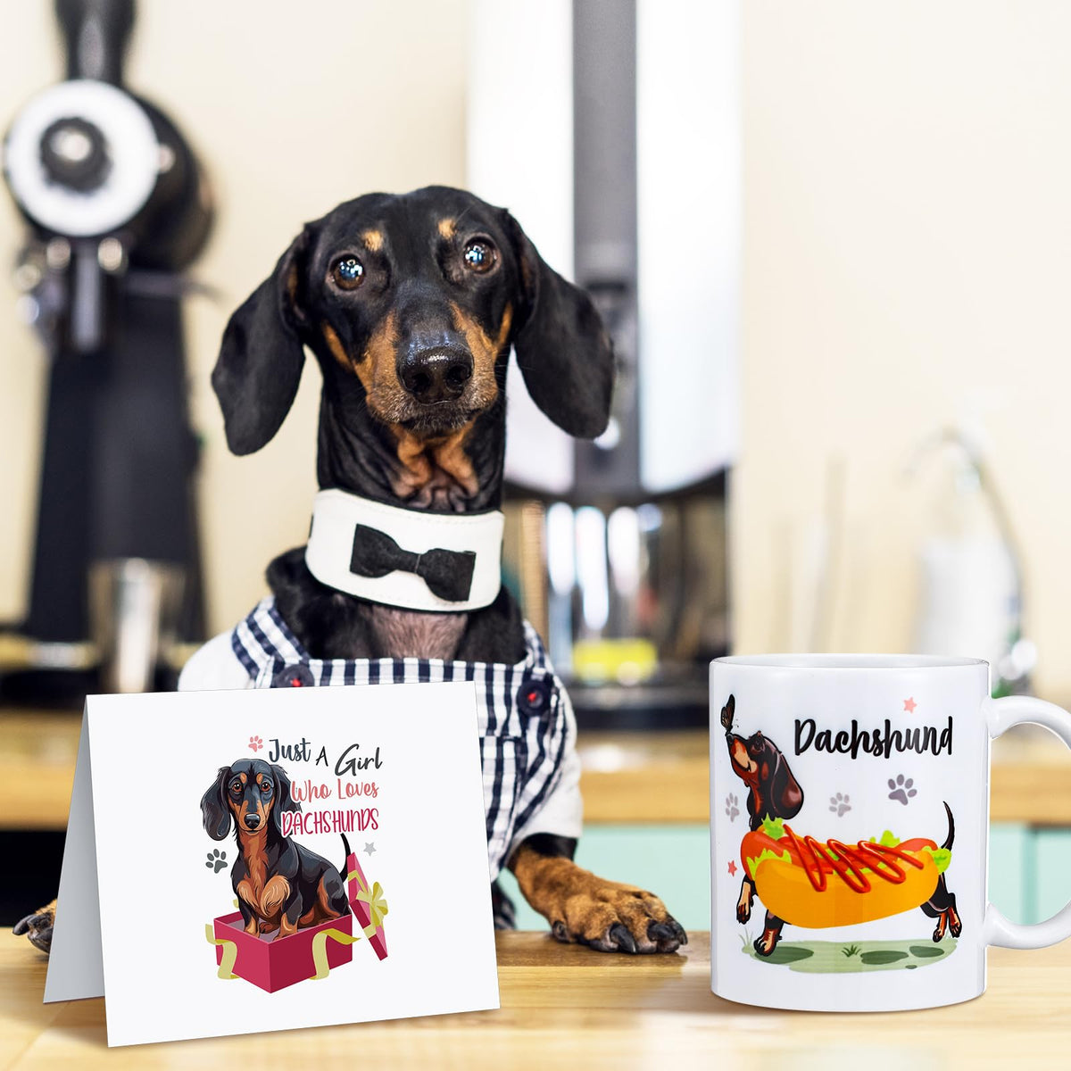 Didaey 7 Pcs Christmas Dachshund Gift Sets for Women Include Weiner Dog Keychain Cosmetic Bag Socks Mug Tote Bag Cards with Gift Box for Christmas Dachshund Lovers Gifts