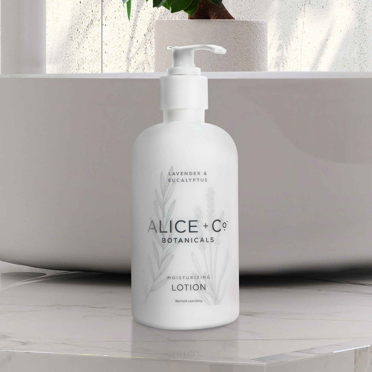 Alice + Co. Fairfield by Marriott Body Lotion - Moisturizing Hotel Spa Lotion - Lavender & Eucalyptus - 8.5 oz